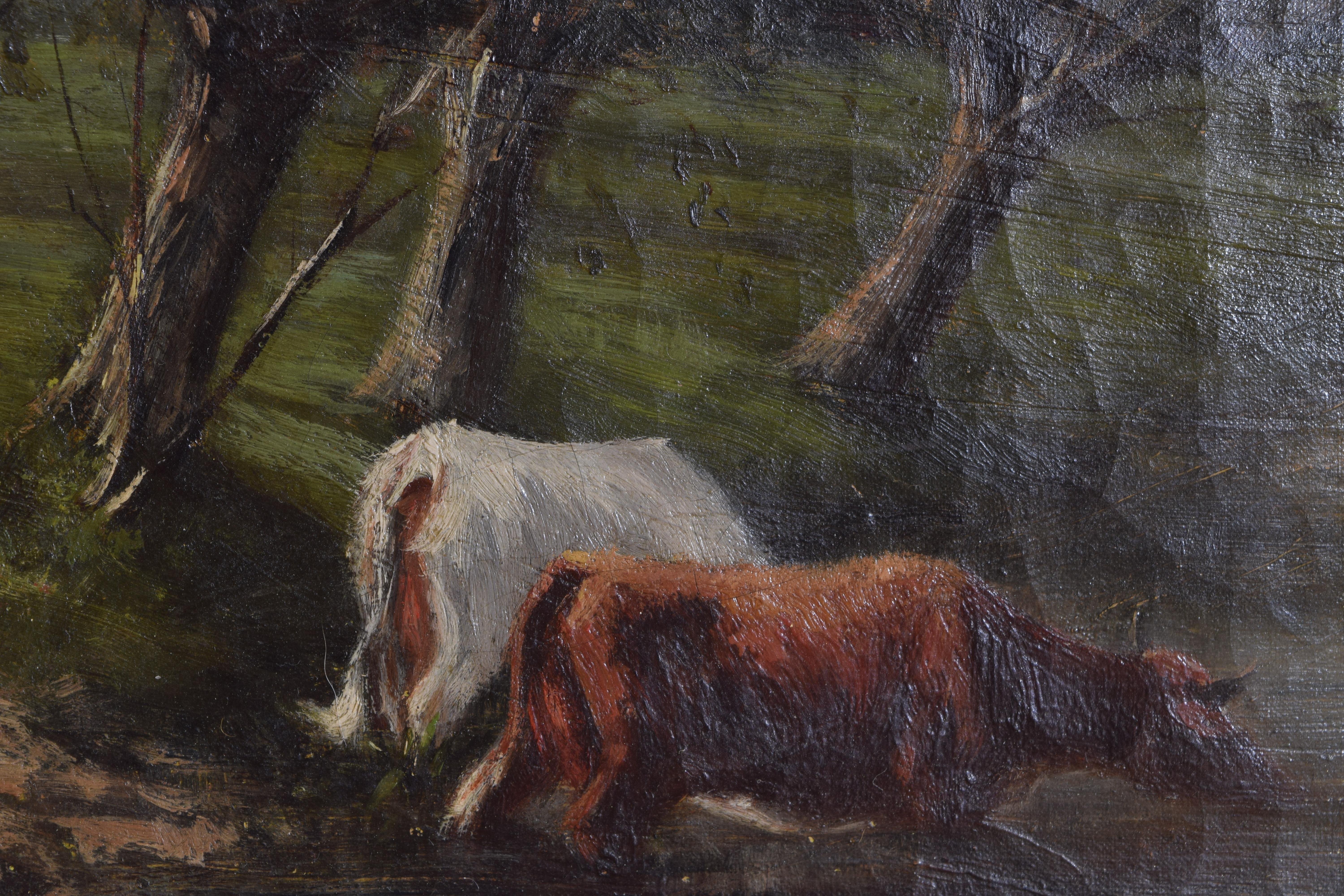 Paint Continental Oil on Canvas, Cows Grazing at River, 19th Century