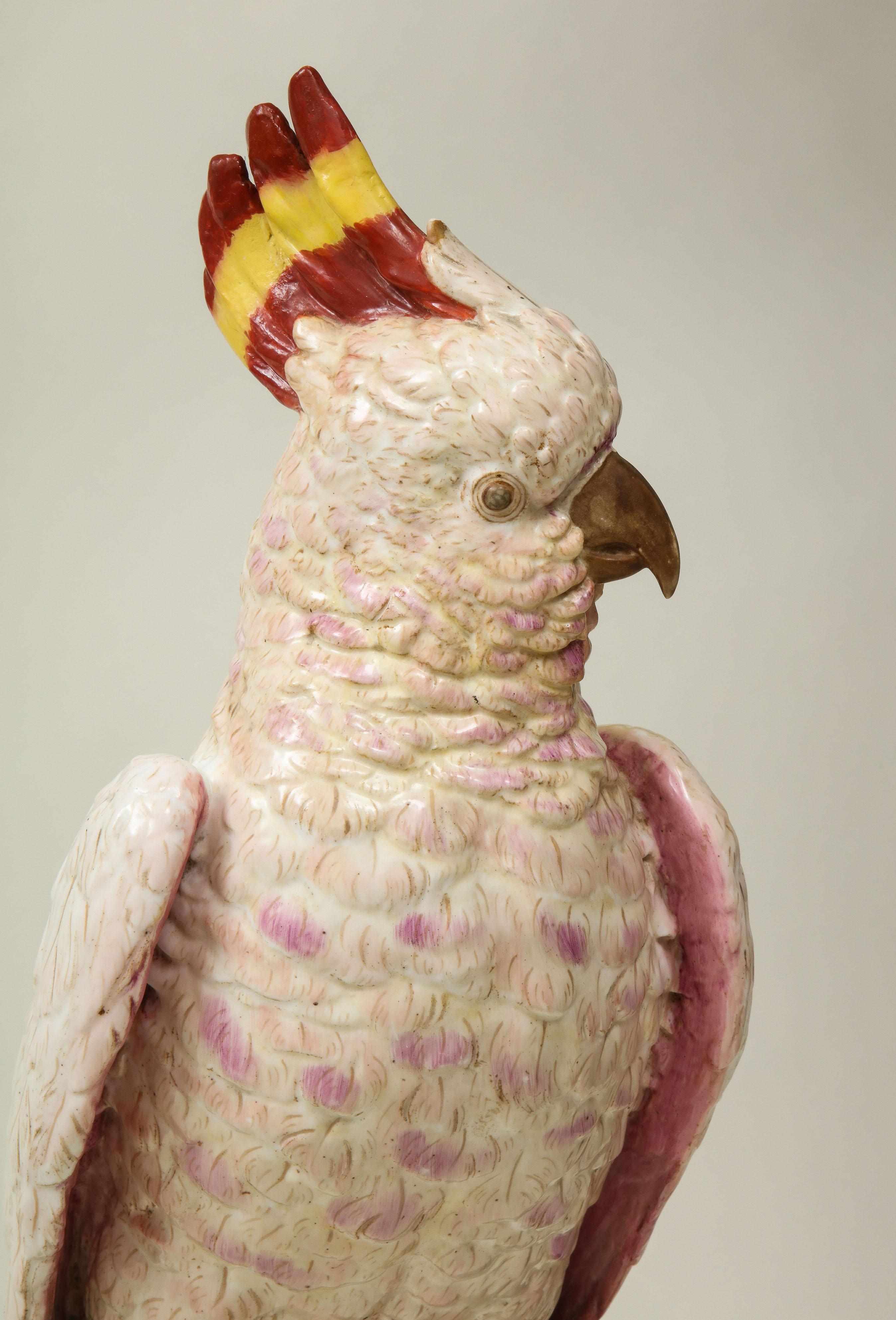 Continental Porcelain Model of a Major Mitchells Cockatoo with Ring 12