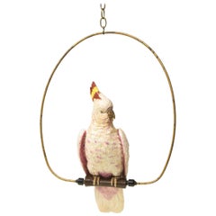 Continental Porcelain Model of a Major Mitchells Cockatoo with Ring