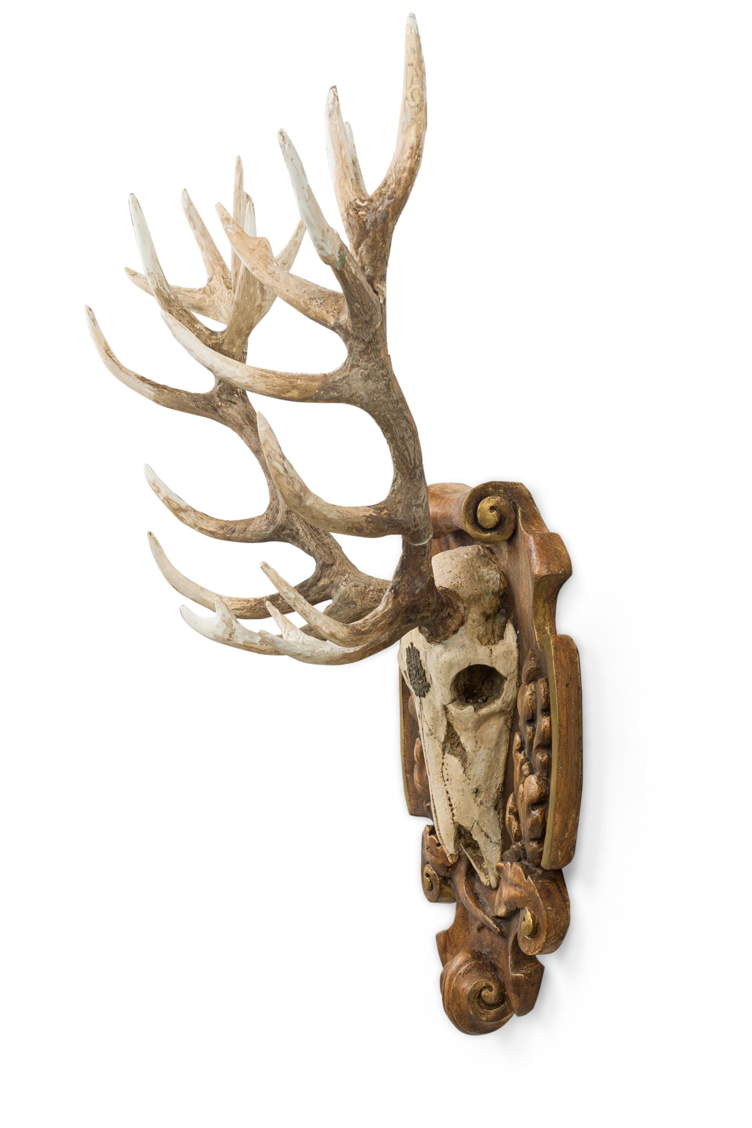 Continental Rustic Elk skull with a painted Insignia mounted on a shaped wall plaque featuring an oak leaf floral design with a scroll pediment and bottom
 

 Damages to antlers,plaque still in good condition

