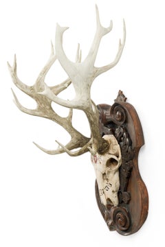 Continental Rustic wall plaque of a Elk skull with Red insignia