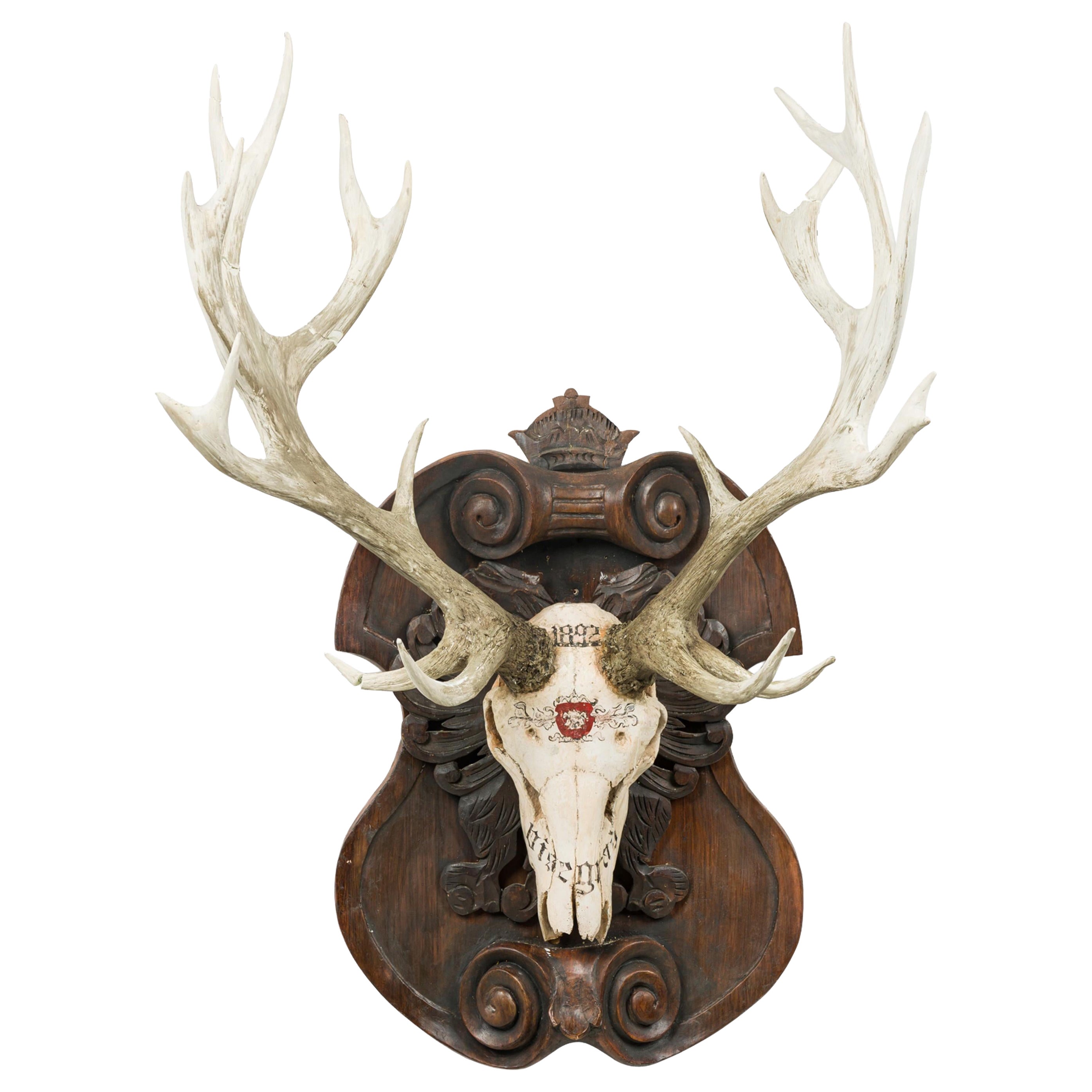 Continental Rustic wall plaque of a Elk skull with Red insignia