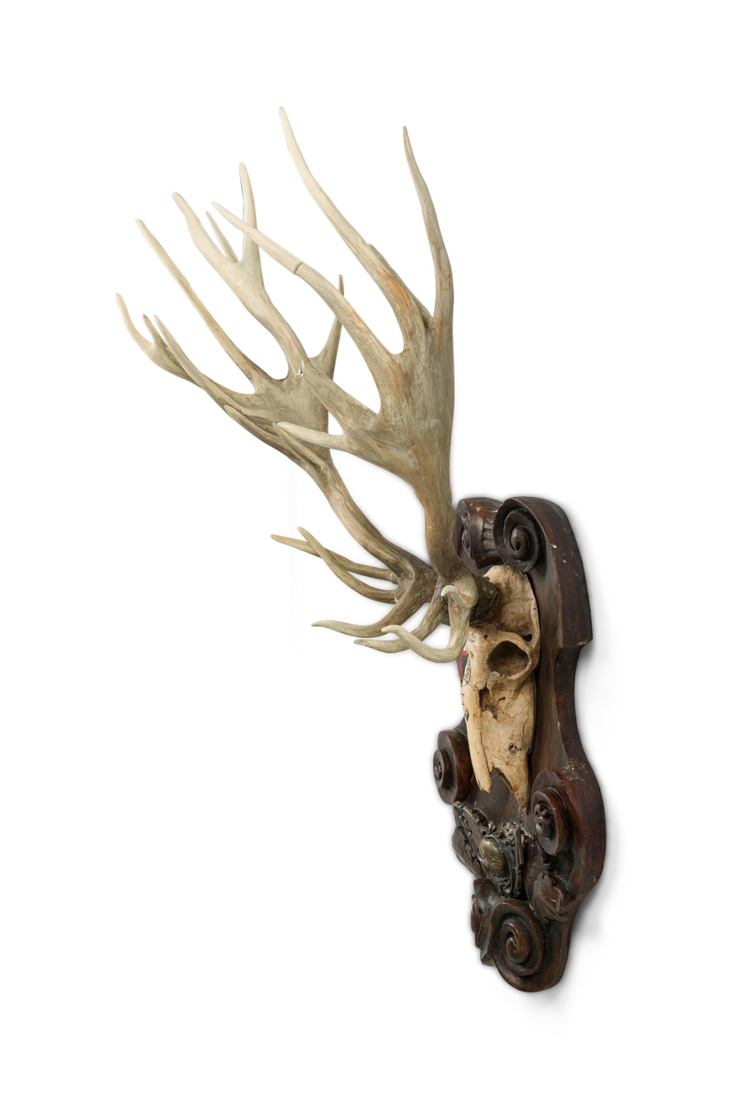 Continental Rustic large wall plaque of Elk skull with a painted red cross 