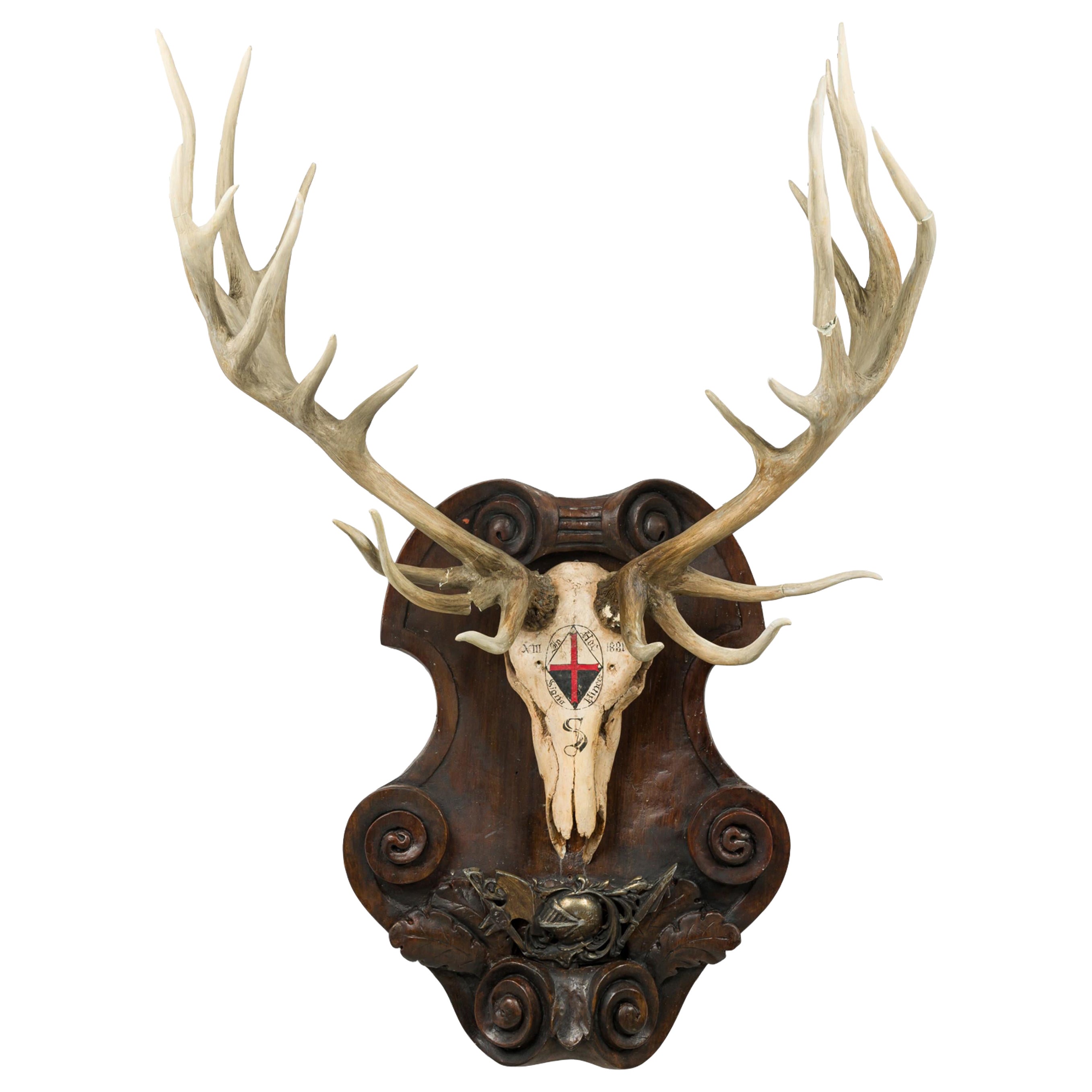 How do I mount elk antlers on a wall?