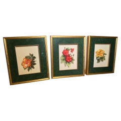 Continental Shadowbox Flores en relieve enmarcadas - Juego de tres