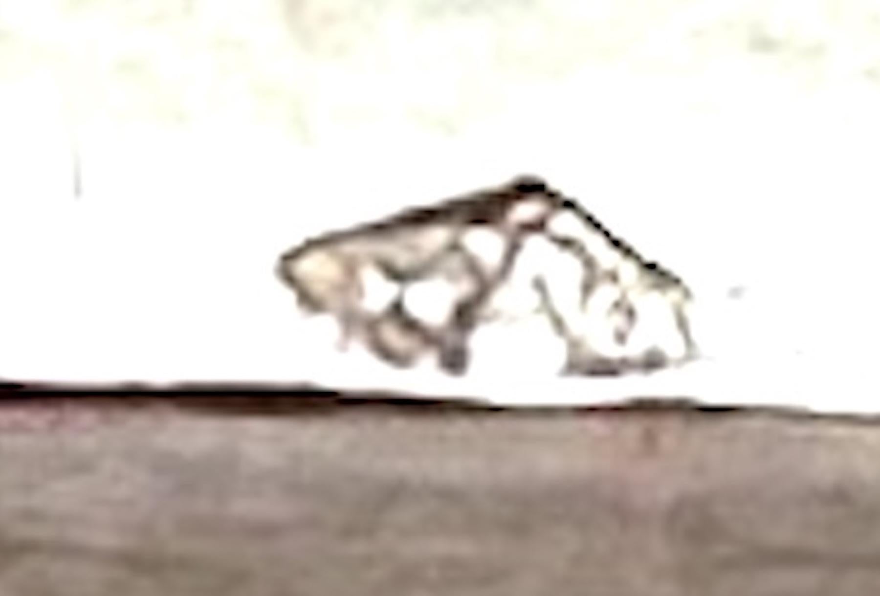 Sello de cera de plata continental con figura y paisaje Art Nouveau, circa 1900 Plata esterlina en venta