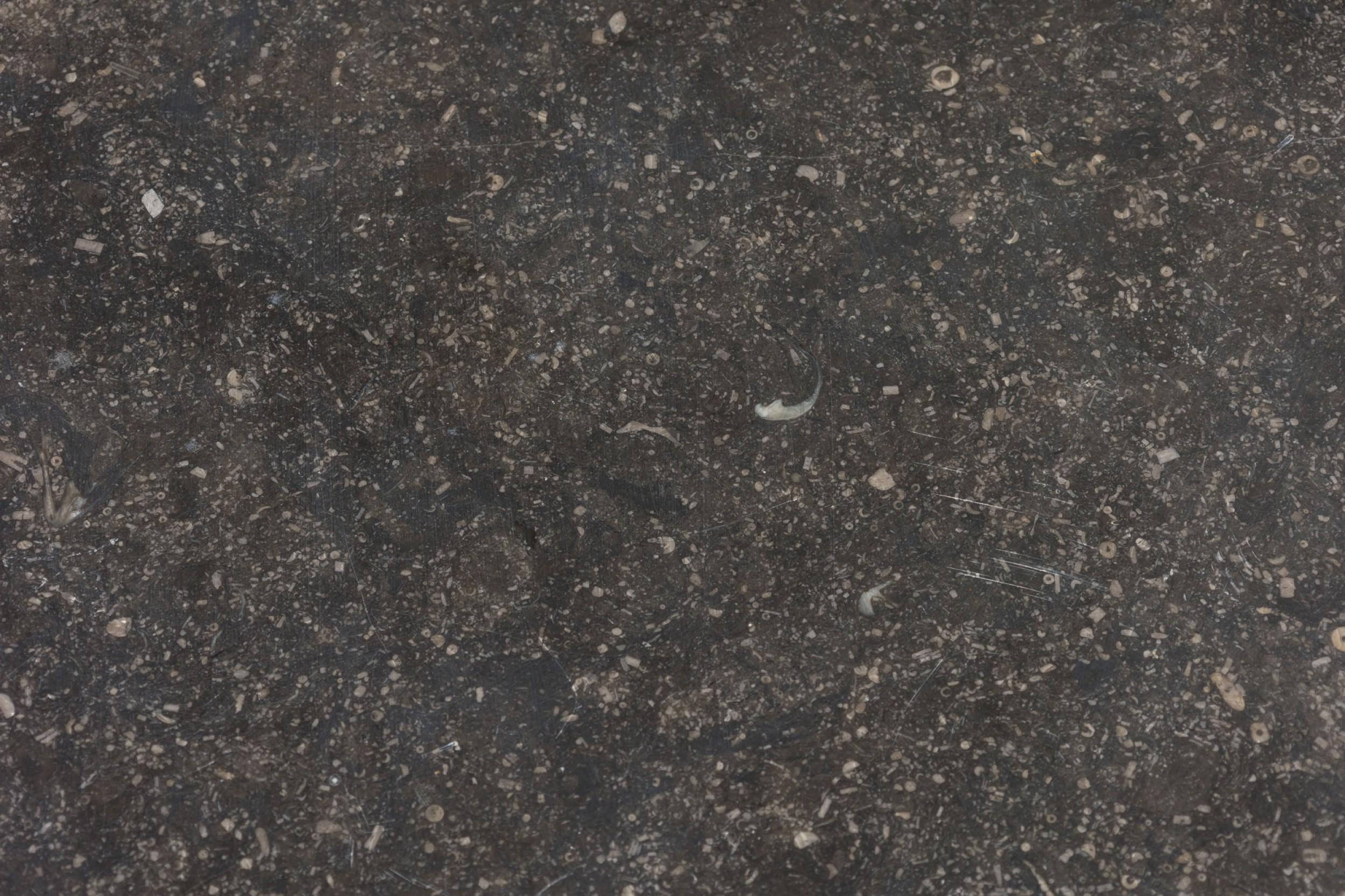 Continential Round Center Table Resting on 5 Legs & Speckled Black Marble Top 1
