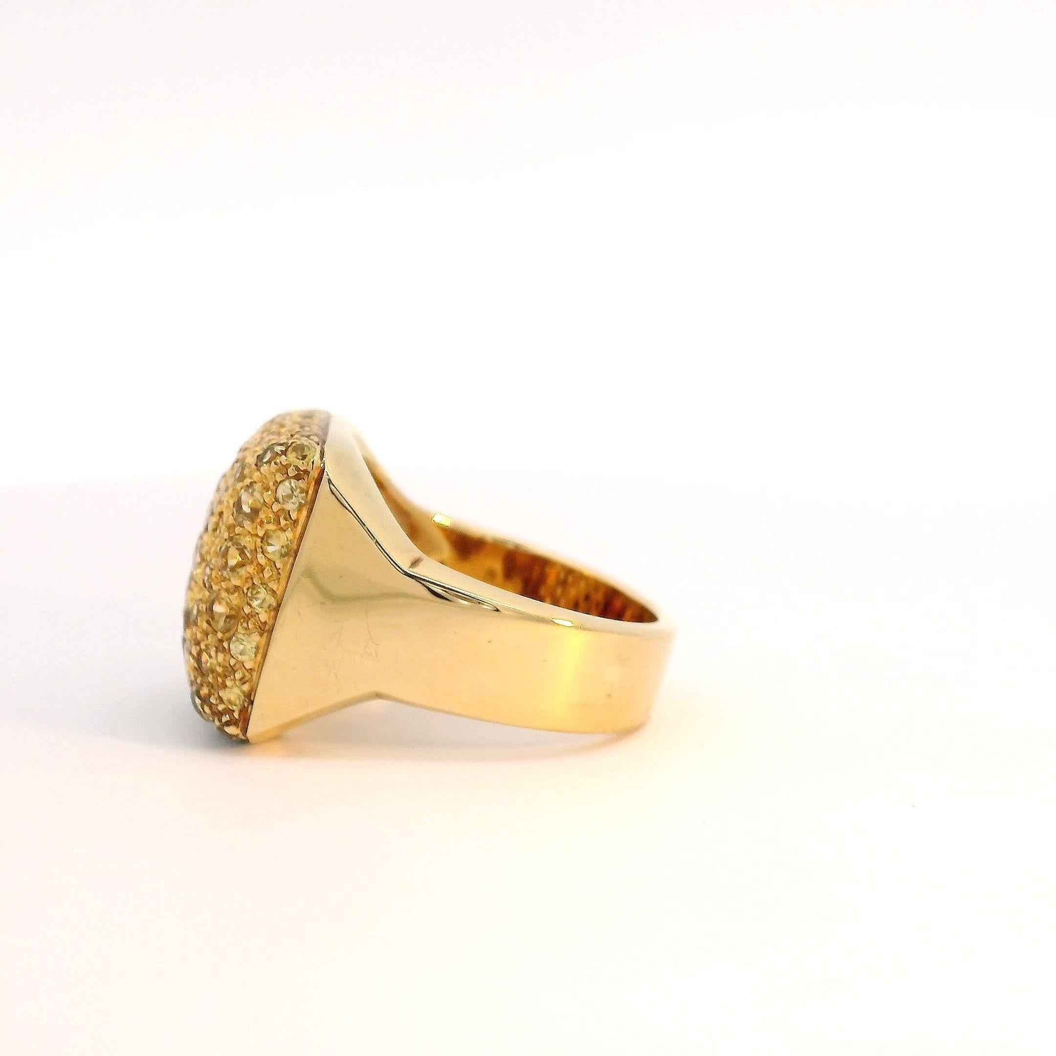 Voici notre captivante bague pavée de saphirs jaunes contrastés et de diamants noirs en or jaune 18 carats. Cette pièce méticuleusement fabriquée est une véritable déclaration de style et de sophistication, mêlant harmonieusement l'élégance du