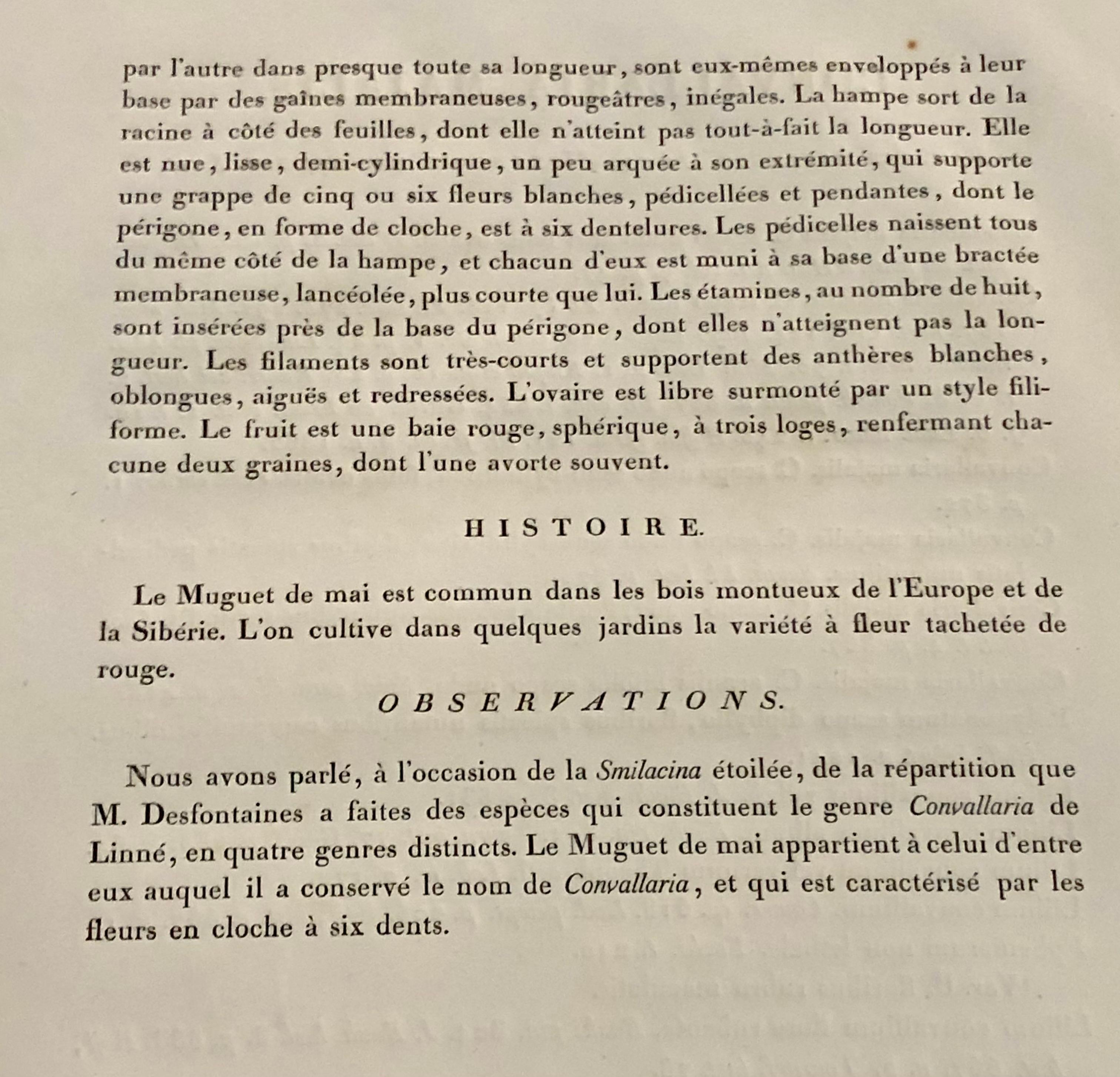 Gravure colorée à la main Convallaria Majalis signée P.J. Redoute en vente 3