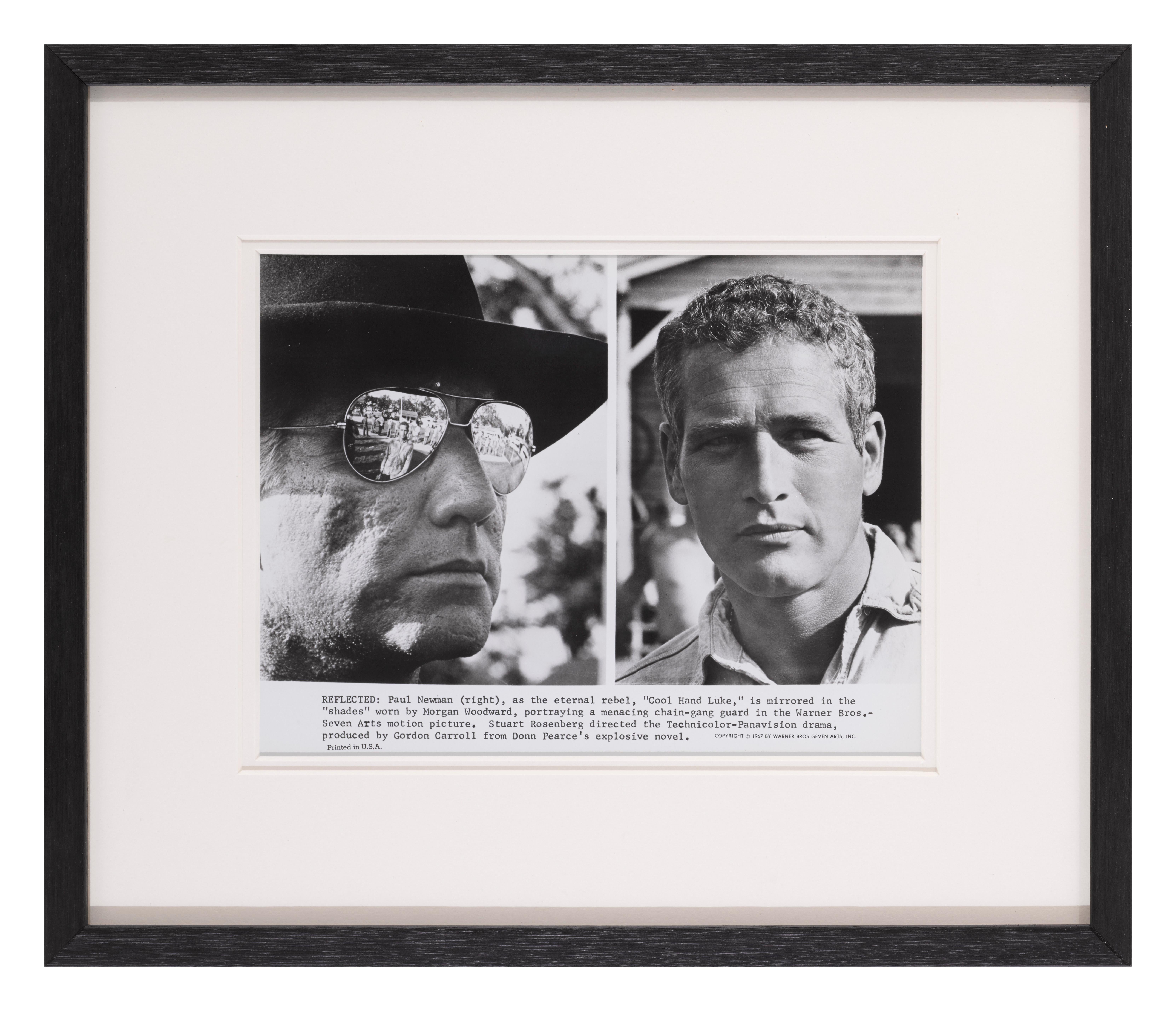 Cool Hand Luke Estadounidense en venta