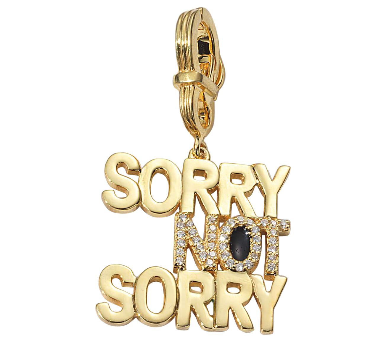 Coomi "Sorry Not Sorry" Pendant Set in 20 Karat Gold For Sale