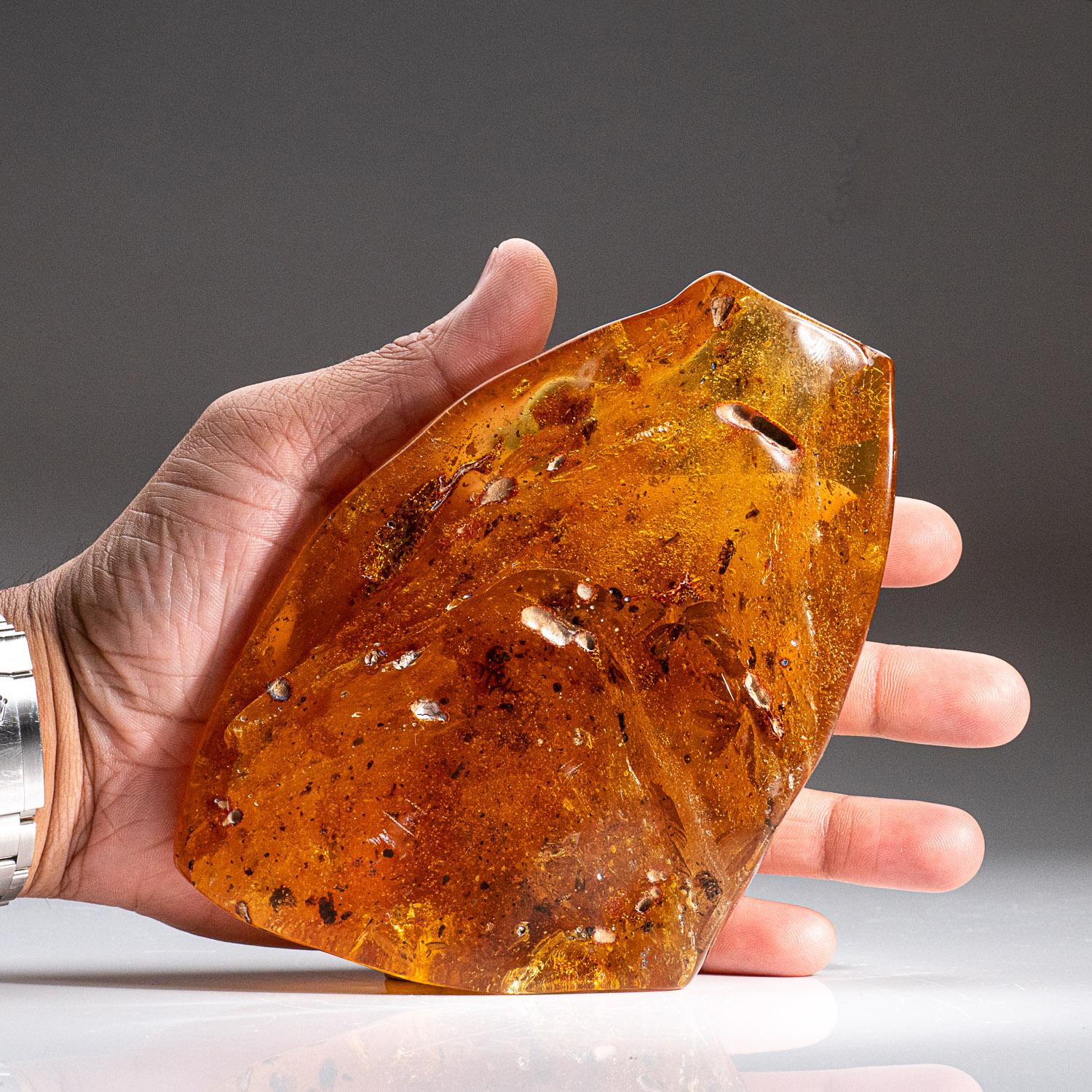 Here we have large transparent amber with many inclusions of fossilized insects. It's polished on the exterior to show the internal clarity. It is some of the highest quality amber in the world. It is harder than most other ambers, which makes it