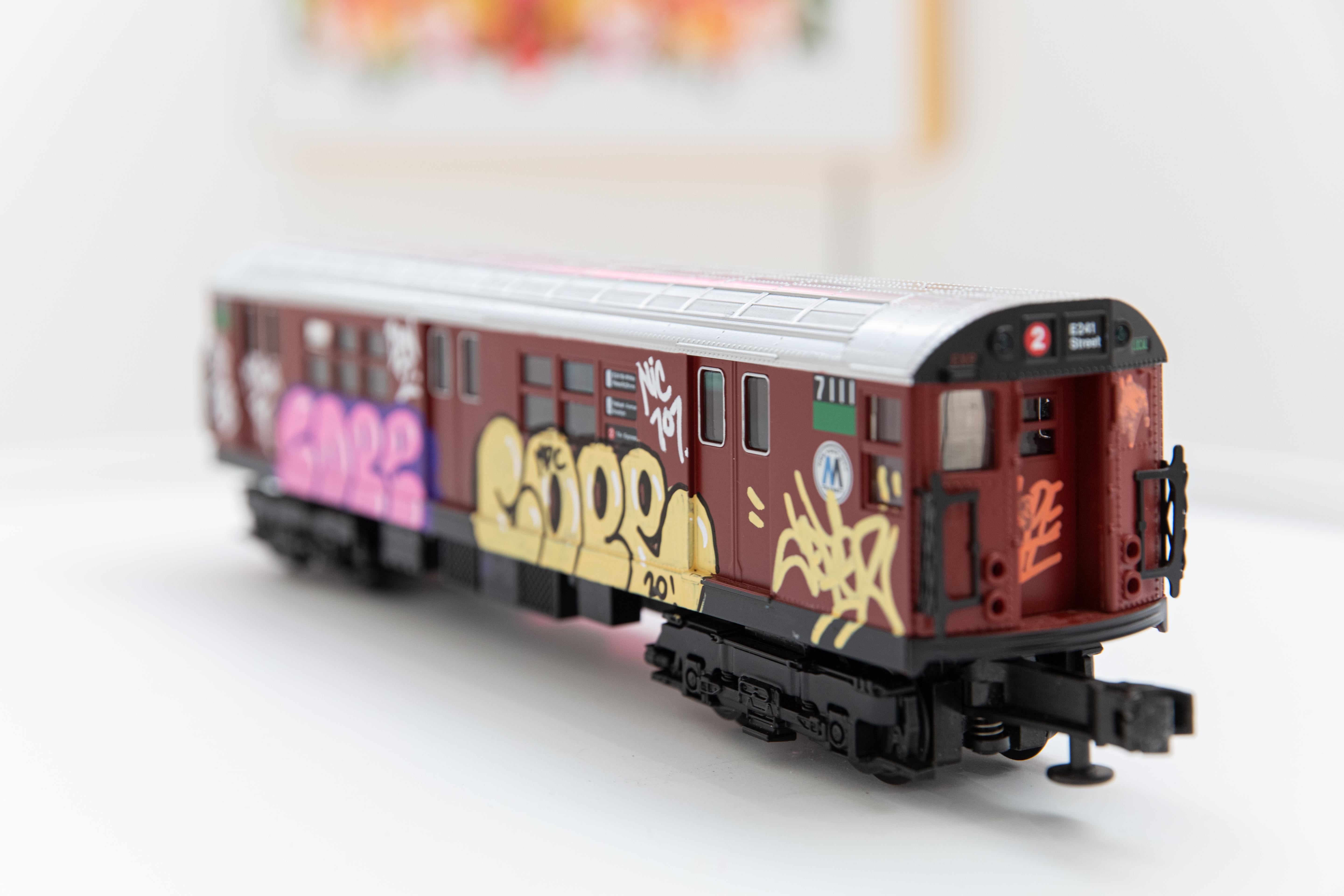 NYC Brown Train 6