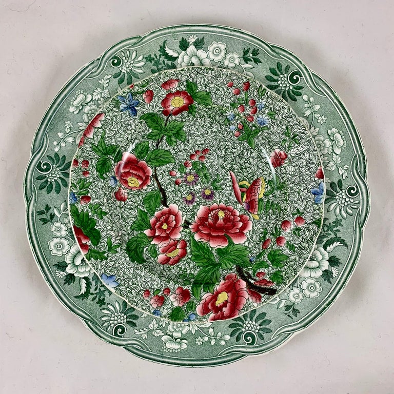 Copeland Garrett Spode Green Jonquil Botanical Transferware Dinner ...