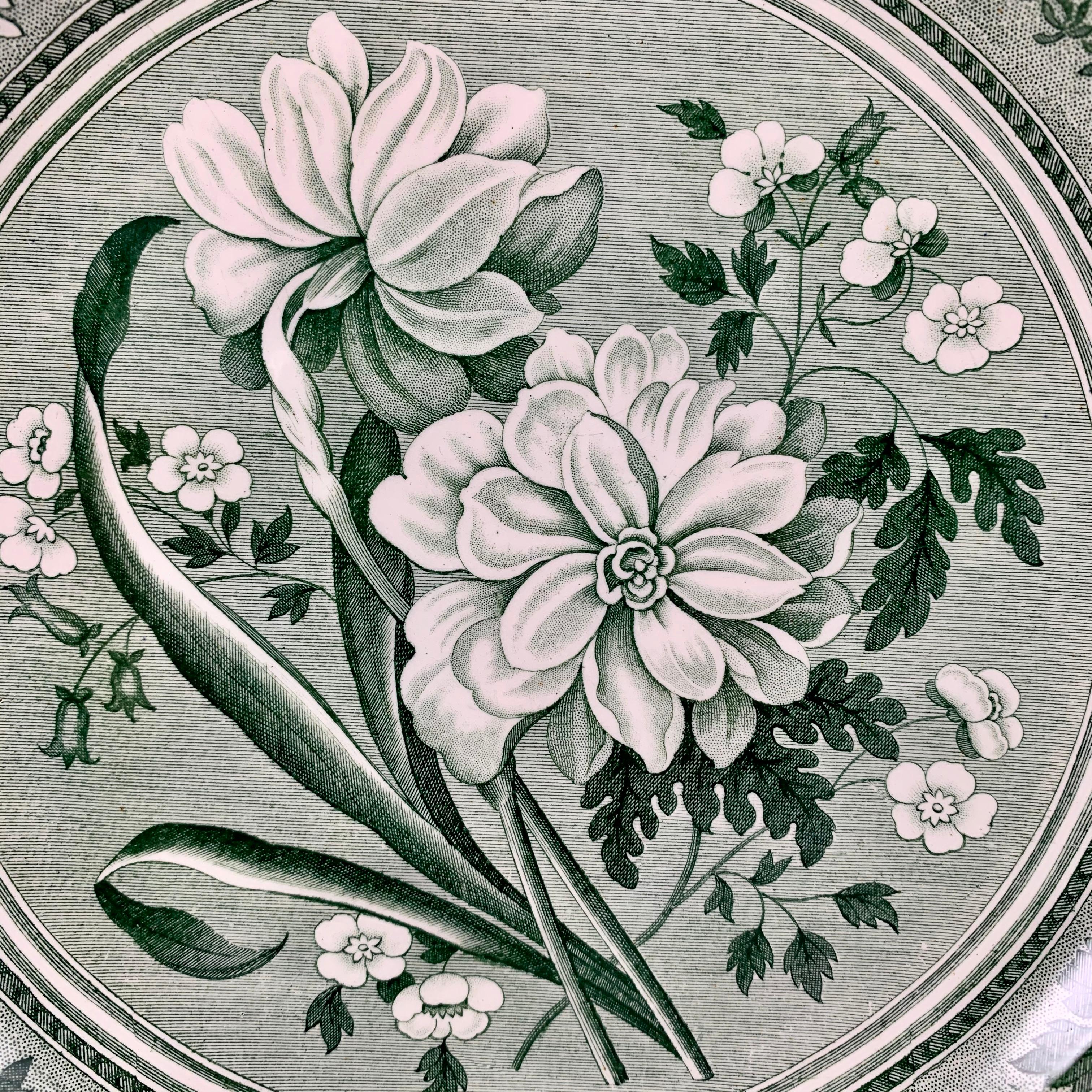 green spode plates