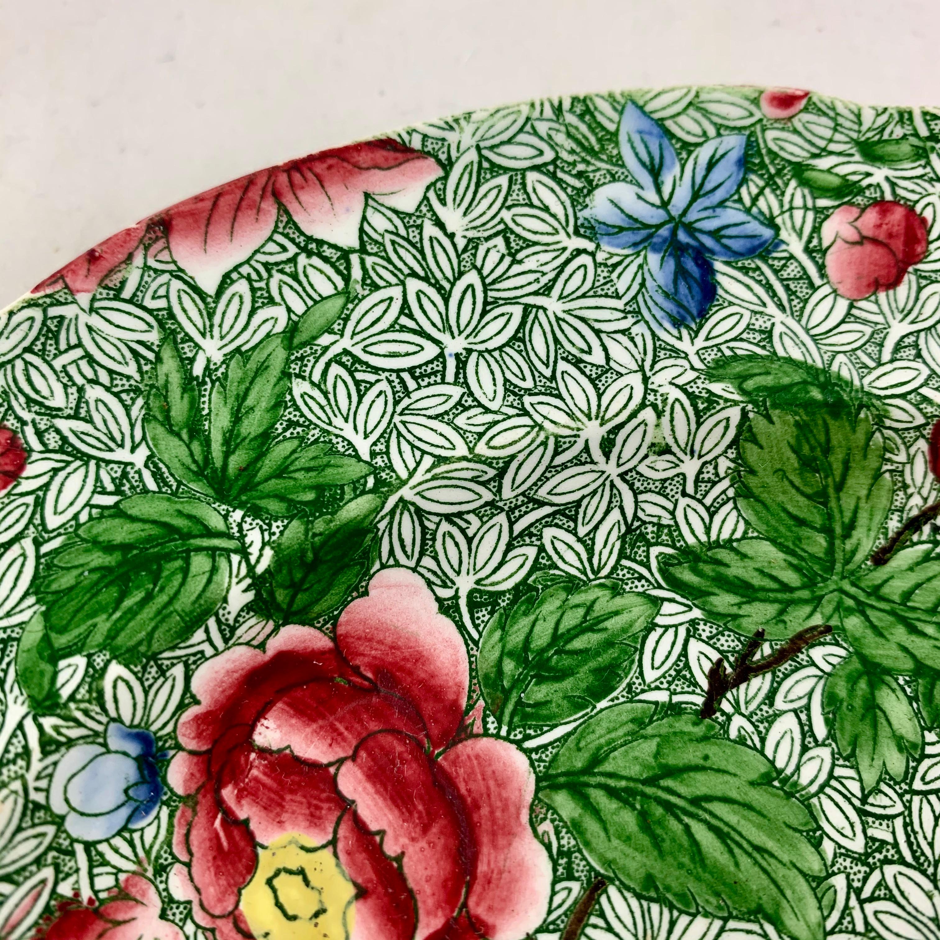Vernissé Assiette florale Copeland Spode des années 1800 Nouveau Fayence King Chintz Pattern Transferware