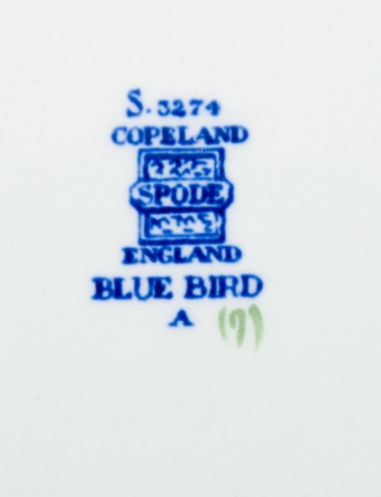 Hand-Painted Copeland Spode, England, Bluebird, Two Large Dinner Plates, Mid-20th Century For Sale