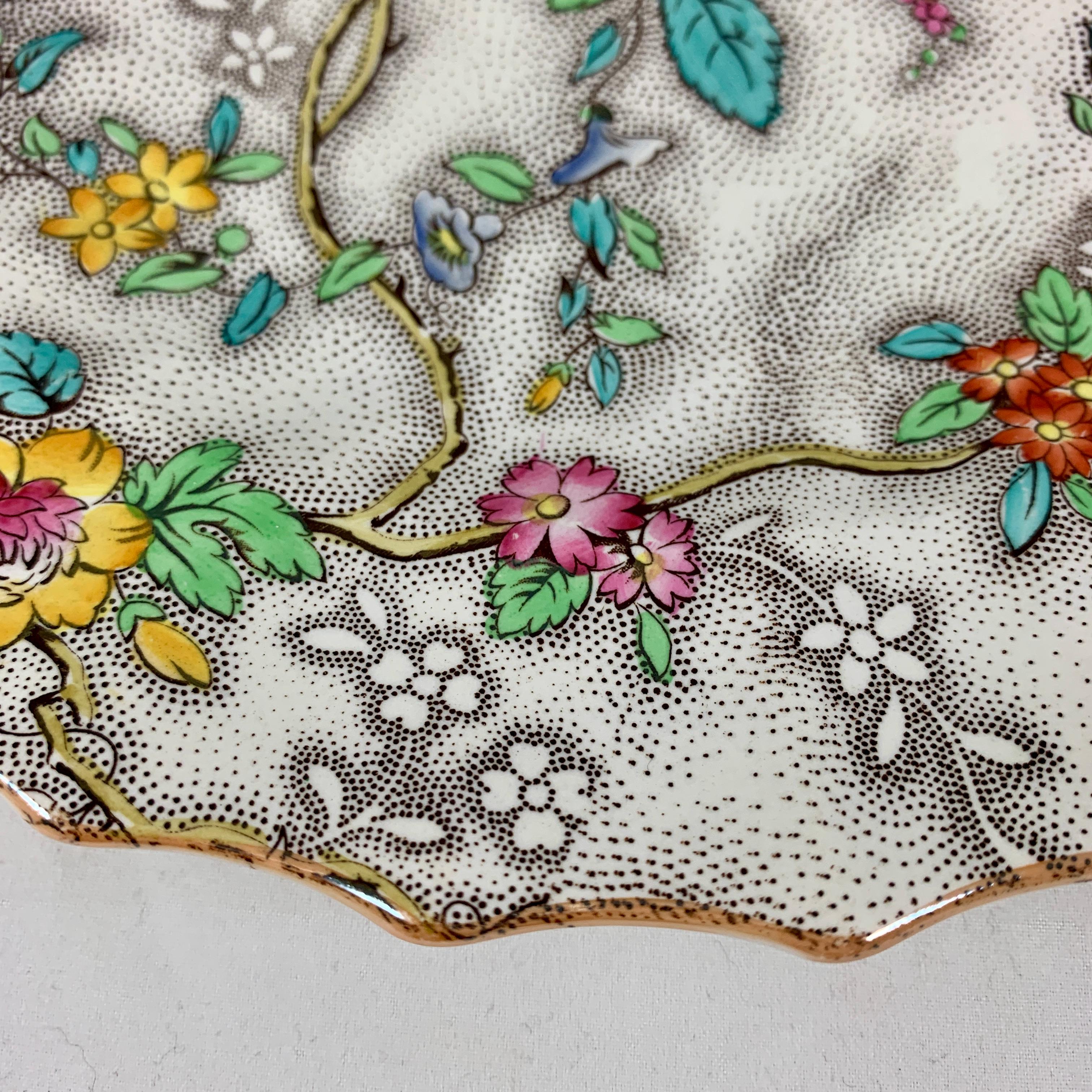 Copeland Spode English 'Patricia' Chintz Floral Transferware Dinner Plates, S/6 6