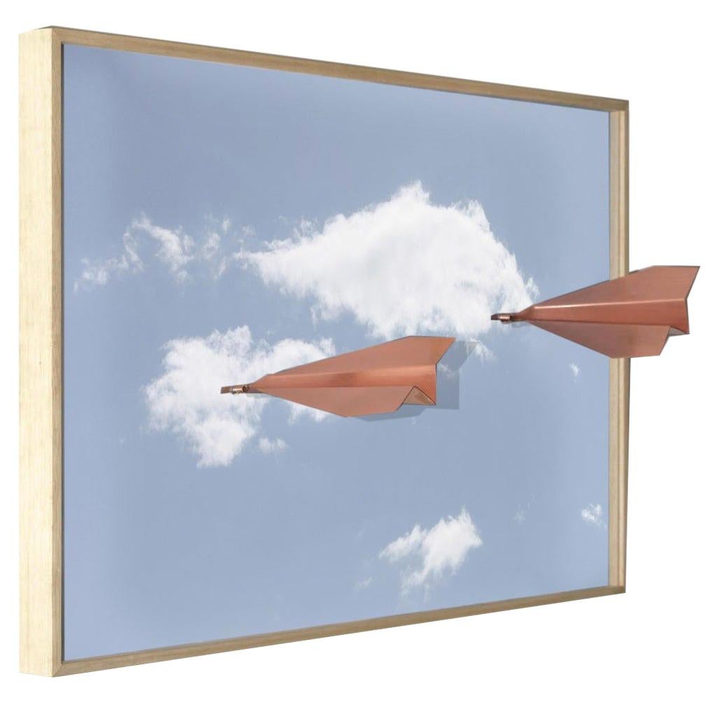 Copper Airplane on a Frame Picture For Sale