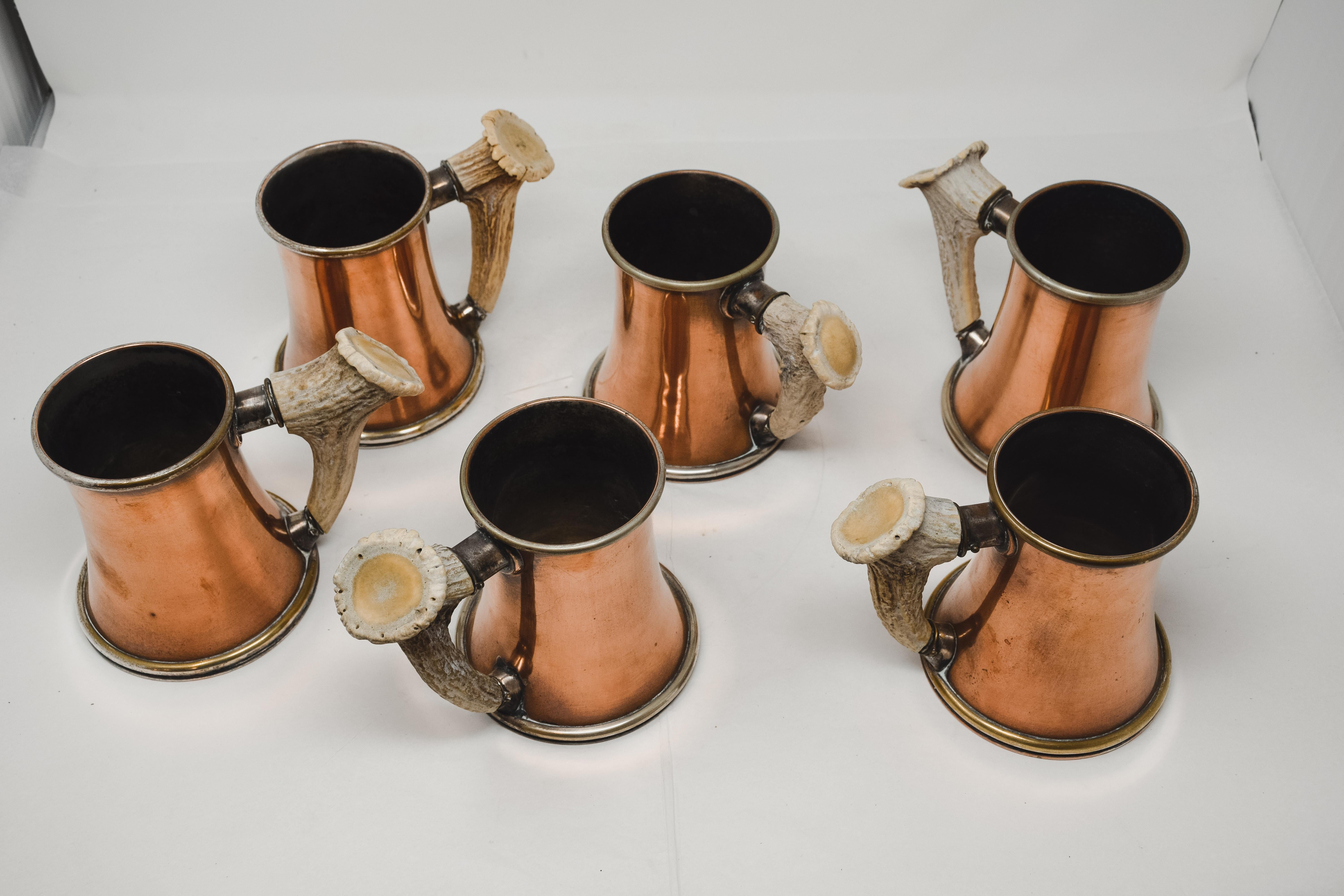 Copper and Antler Pitcher and 6 Mugs 5