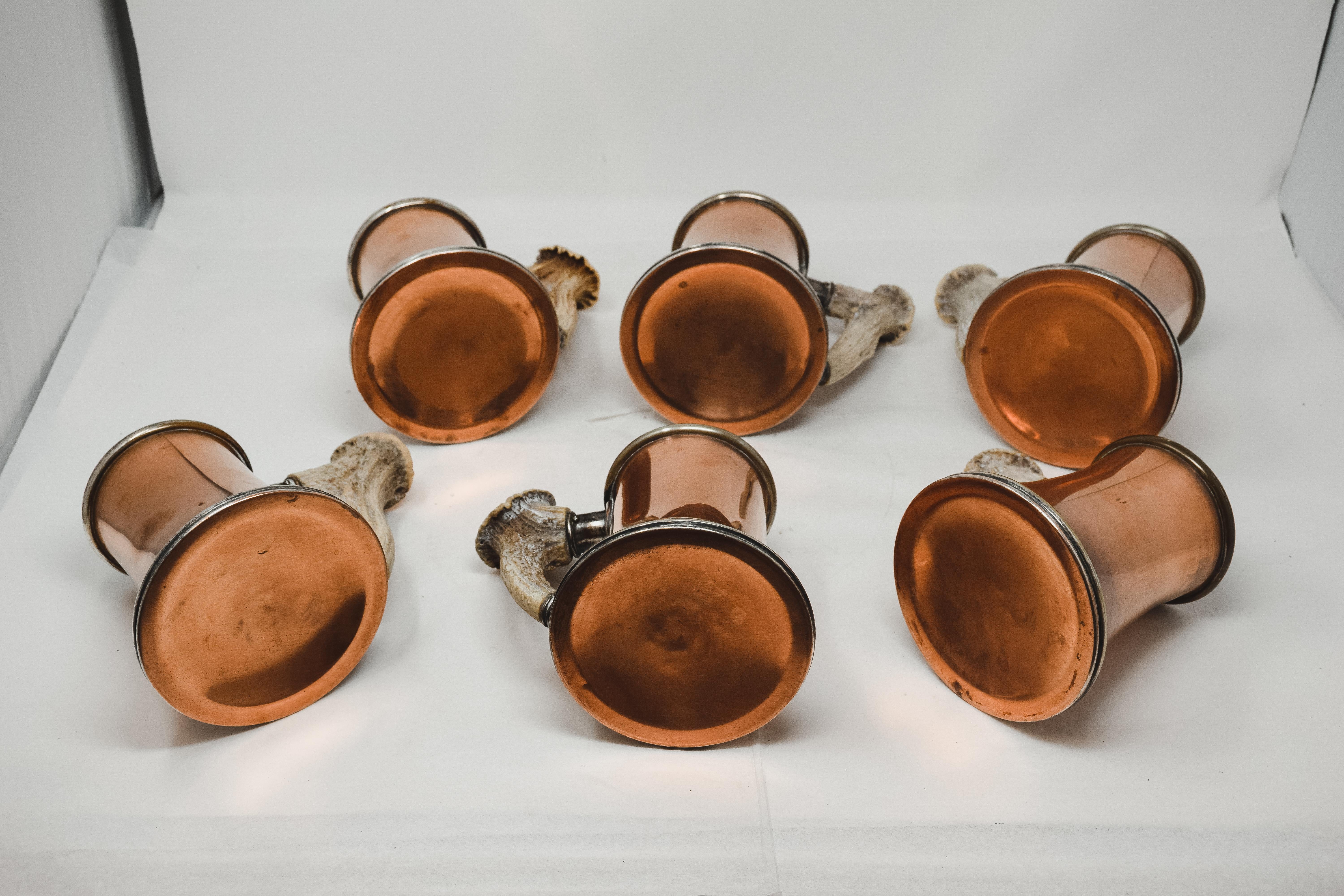 Copper and Antler Pitcher and 6 Mugs 6