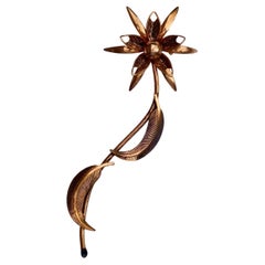 Brooches