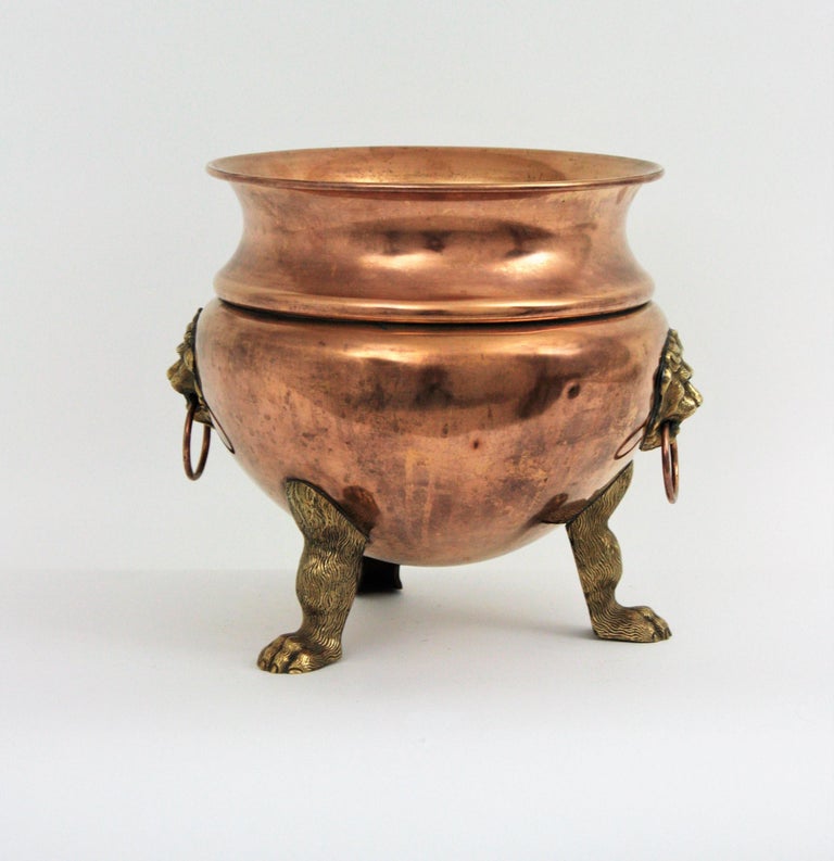 France #G-3647 Vintage Copper Pan Planter Brass Handles Rolled Lip Ceramic Handles Lion Feet Dovetail Seams Paris