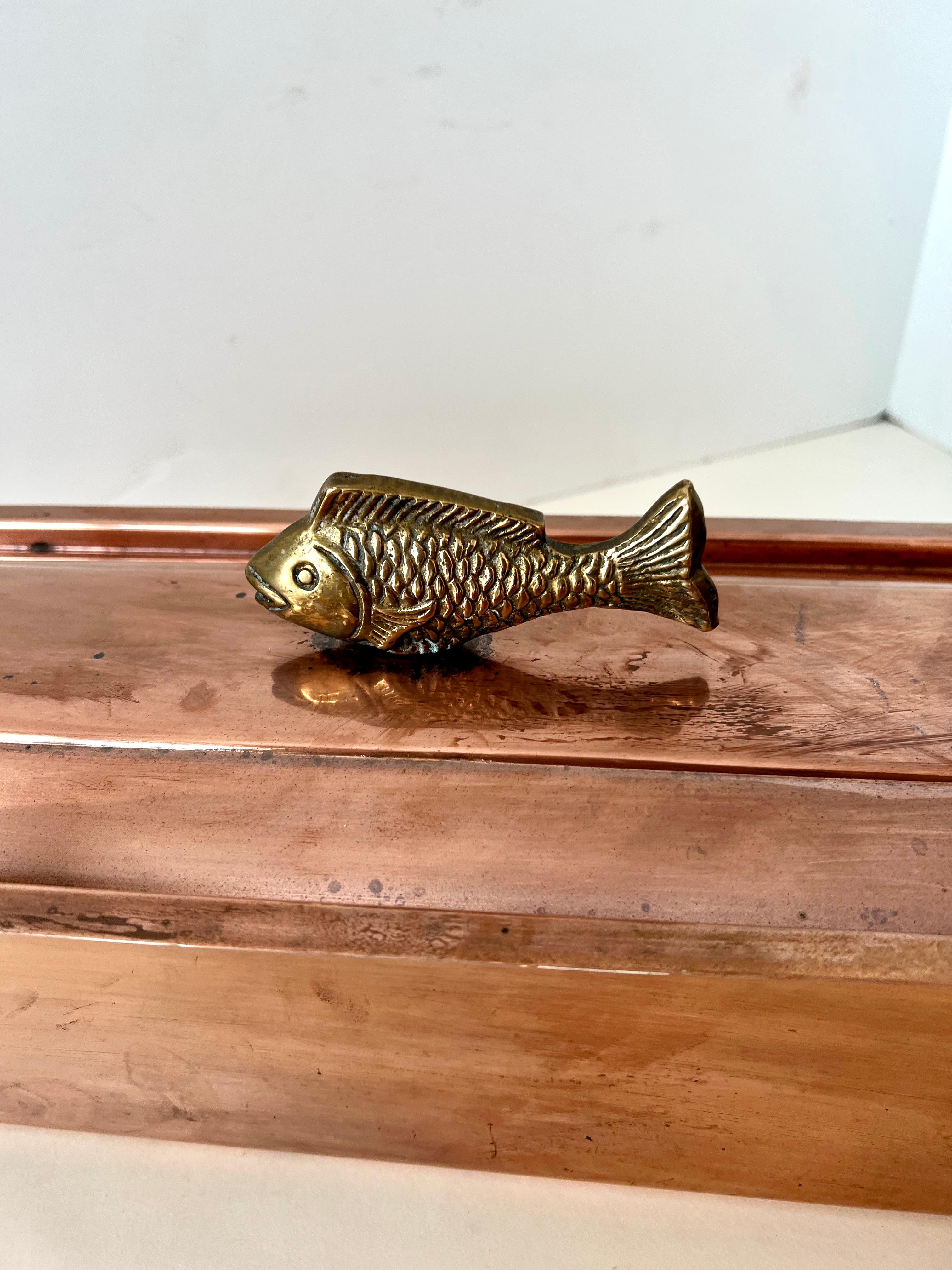 Modern Copper and Brass Fish Poacher Stainless Rack with Decorative Brass Fish Handle For Sale
