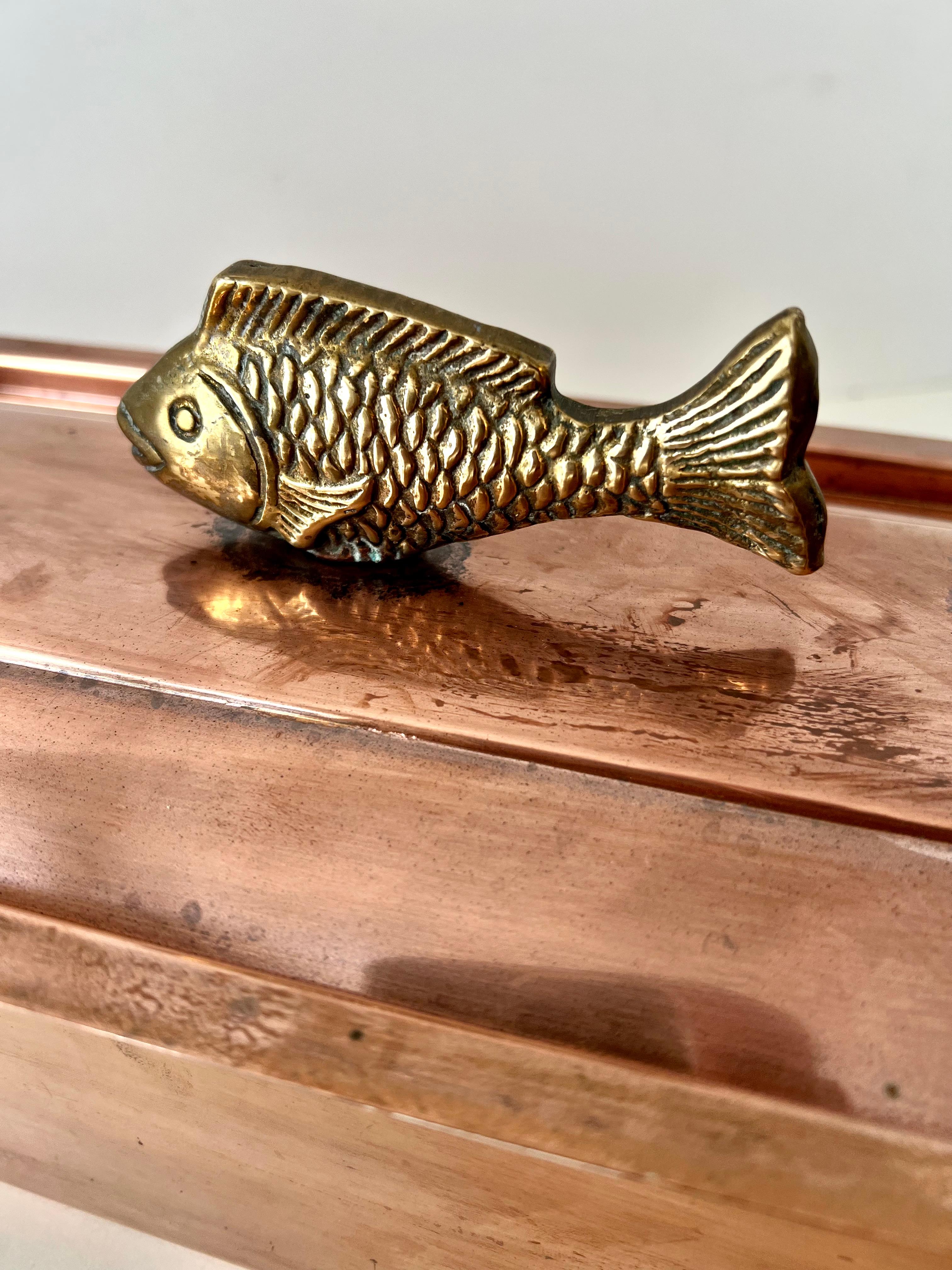 Copper and Brass Fish Poacher Stainless Rack with Decorative Brass Fish Handle For Sale 1