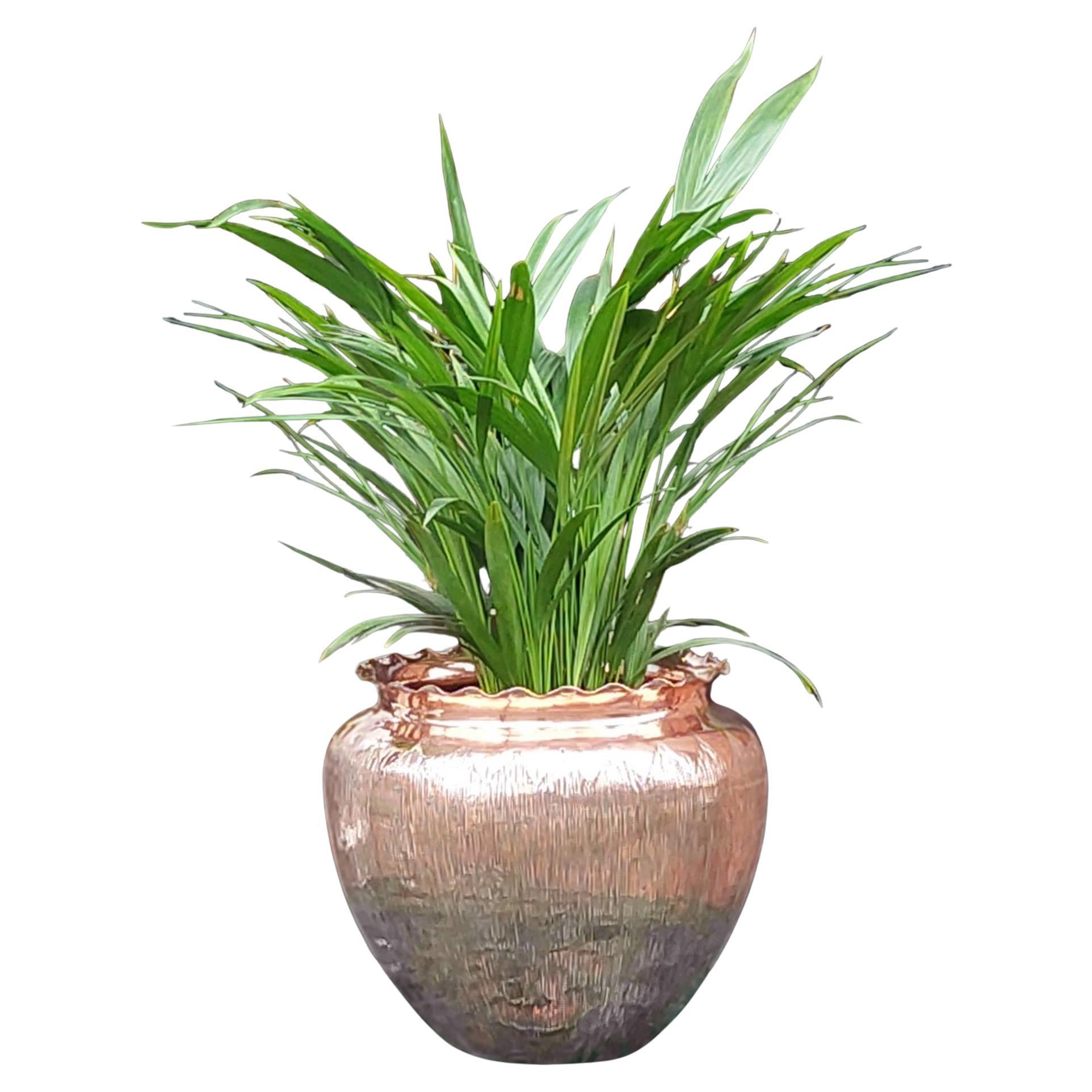 Jardiniere Pflanzgefäß aus Kupfer Arts & Crafts