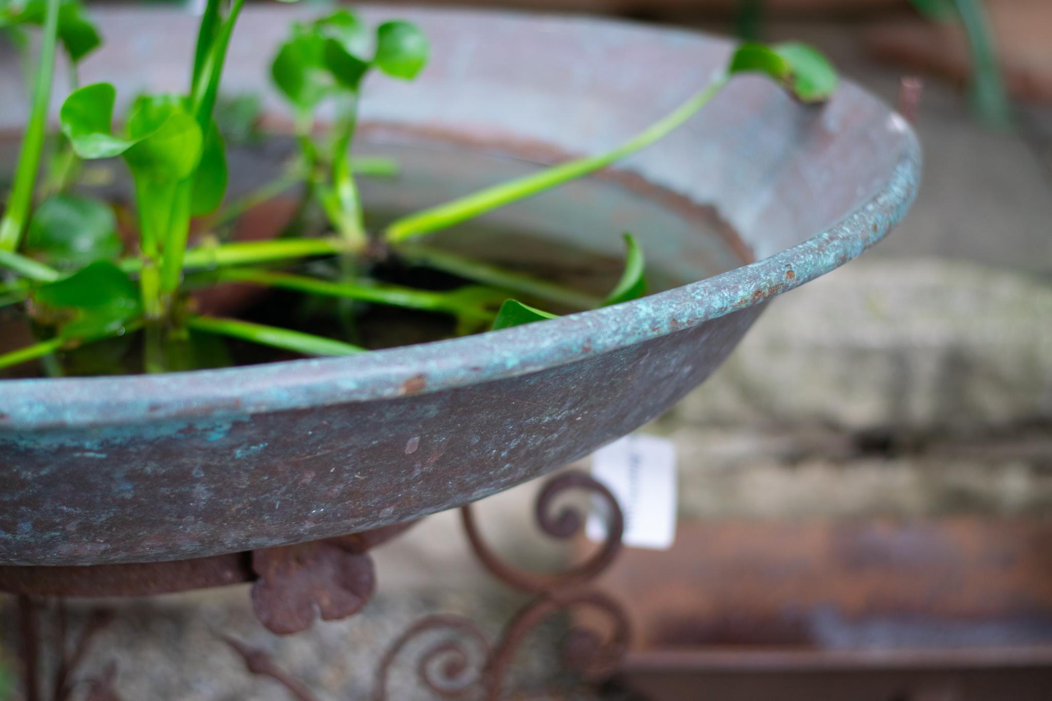 Ein herrlich rostiger antiker Sockel trägt eine üppig verwitterte Kupferschale. Dieses Becken ist vielseitig einsetzbar: als Pflanzgefäß, Vogeltränke oder sogar als kleine Feuerstelle auf der Terrasse.