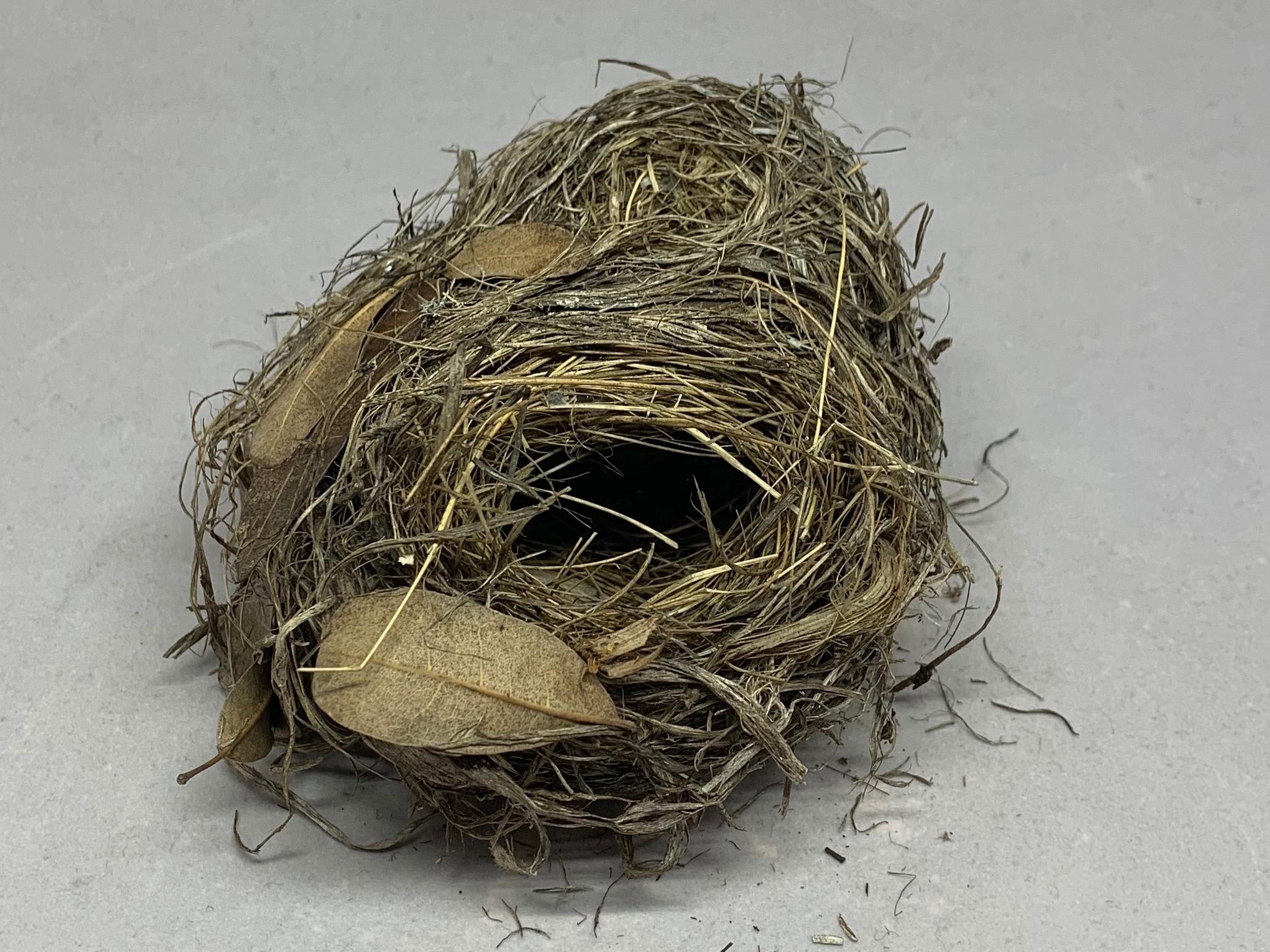 American Copper Beaded Egg with Nest For Sale