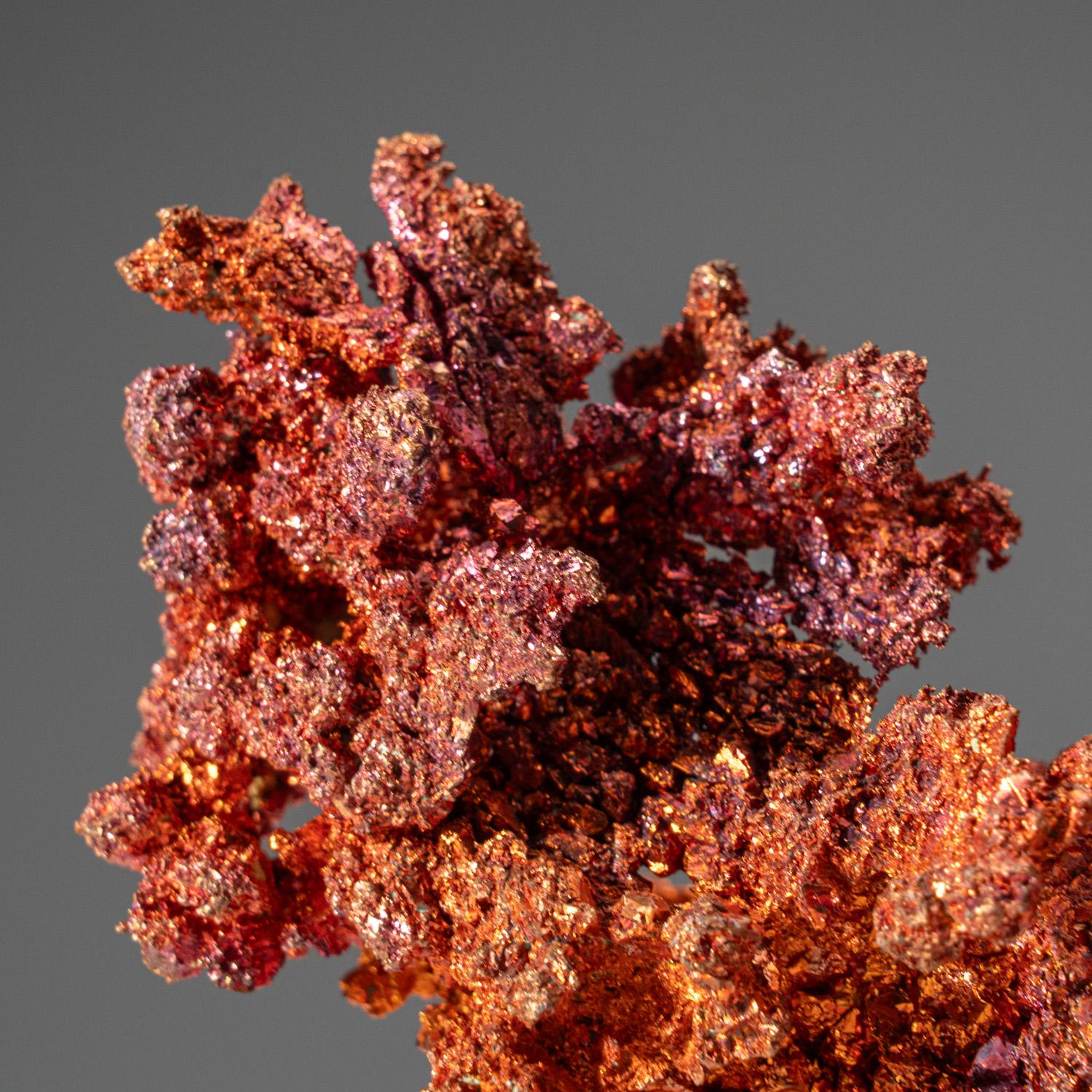 Sculptural formation of sharp, distinct copper crystals from Jiujiang Co., Jiangxi Province, China. The copper looks beautiful under magnification. A lovely display piece for natural element specimen collectors.

 

Weight: 1.15 lbs, Approx.
