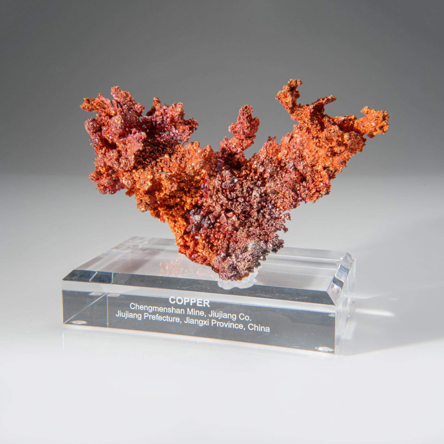 Copper Crystal Cluster from Chengmenshan Mine, Jiangxi Province, China For Sale 2