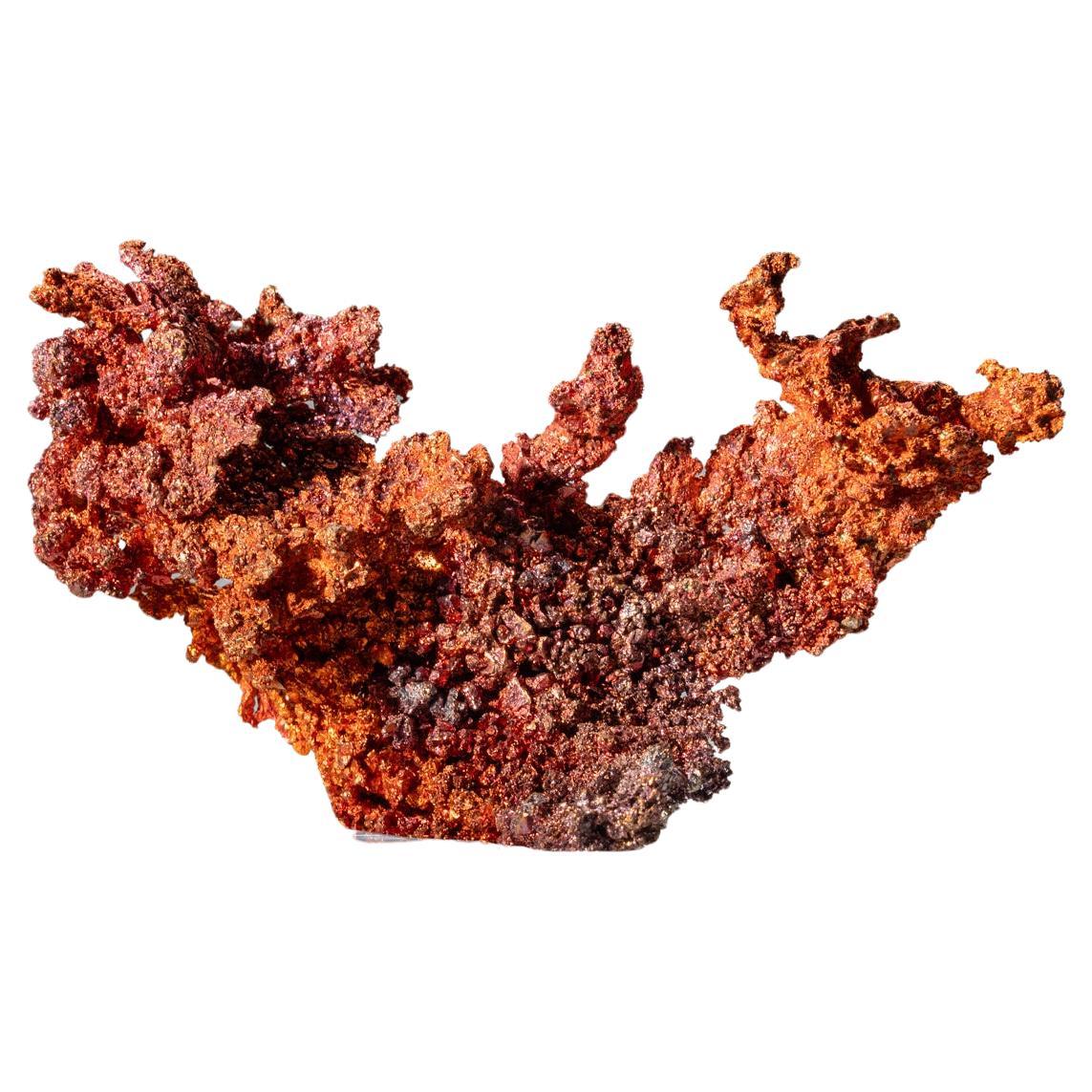 Copper Crystal Cluster from Chengmenshan Mine, Jiangxi Province, China For Sale