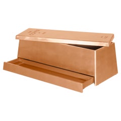 Copper Kids Toy Box in Wood with a Copper Finish by Circu Magical Furniture