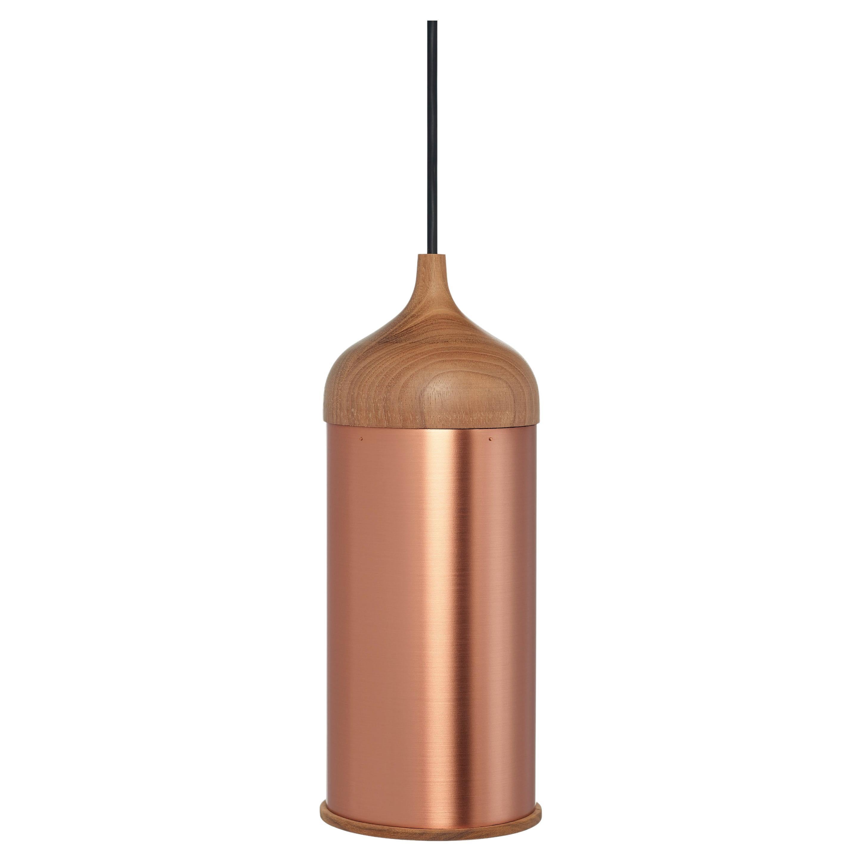 Copper Lamp No.2 - Dutch Design pendant lamp For Sale