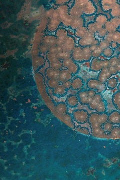 Piatto decorativo in rame e acciaio inossidabile, 'Star Dust 3.0 #9' di Daishi Luo