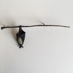 Single Bat on Branch (Left)