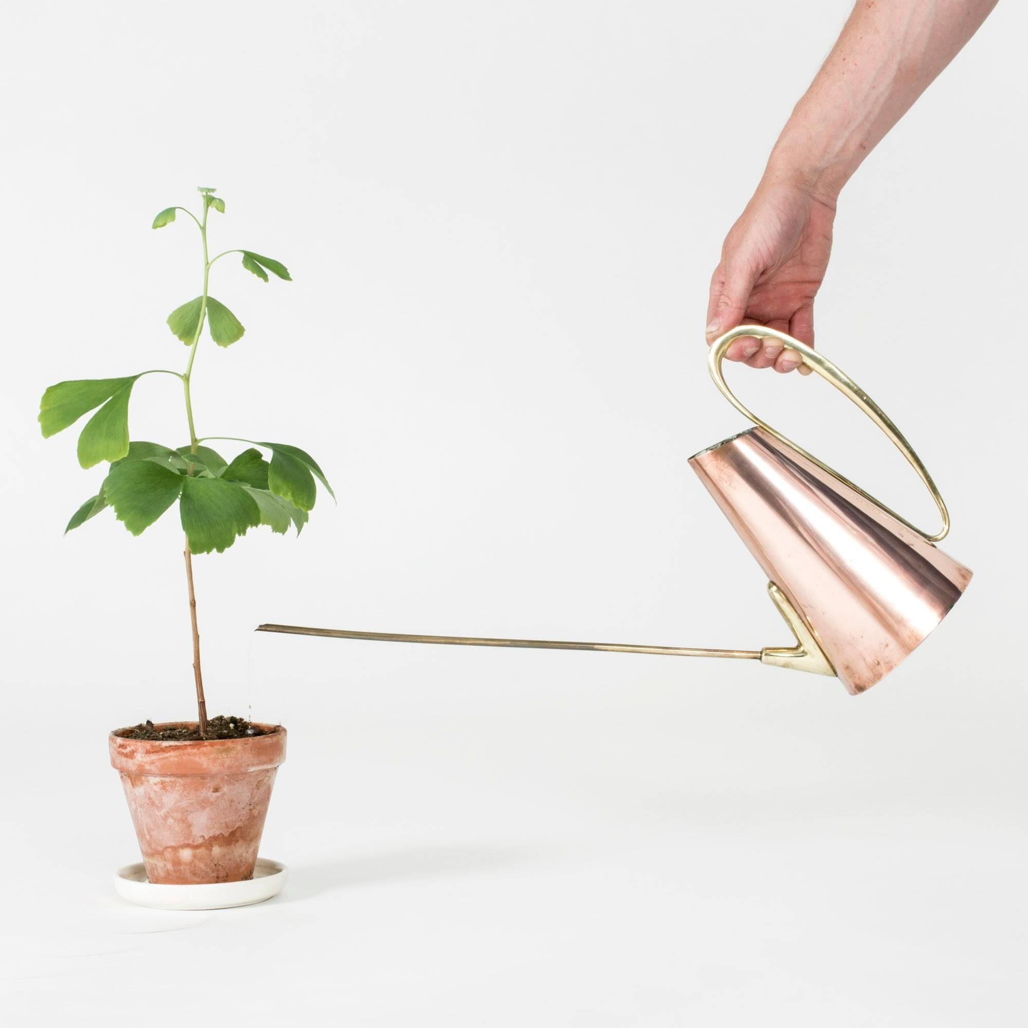 Scandinavian Modern Copper Watering Can