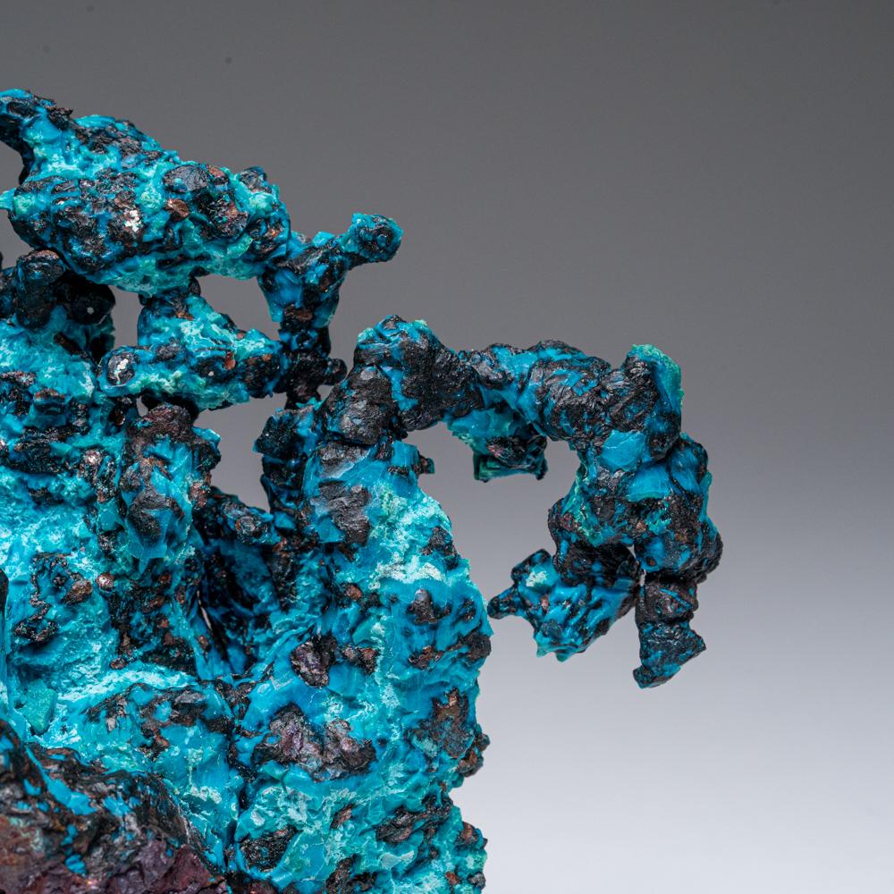 Copper with Chrysocolla from Chimney Rock Quarry, Somerset County, New Jersey In New Condition For Sale In New York, NY