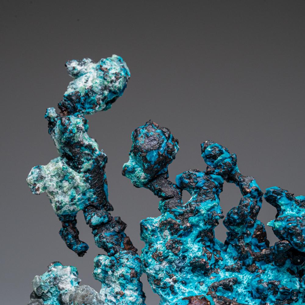 Crystal Copper with Chrysocolla from Chimney Rock Quarry, Somerset County, New Jersey For Sale