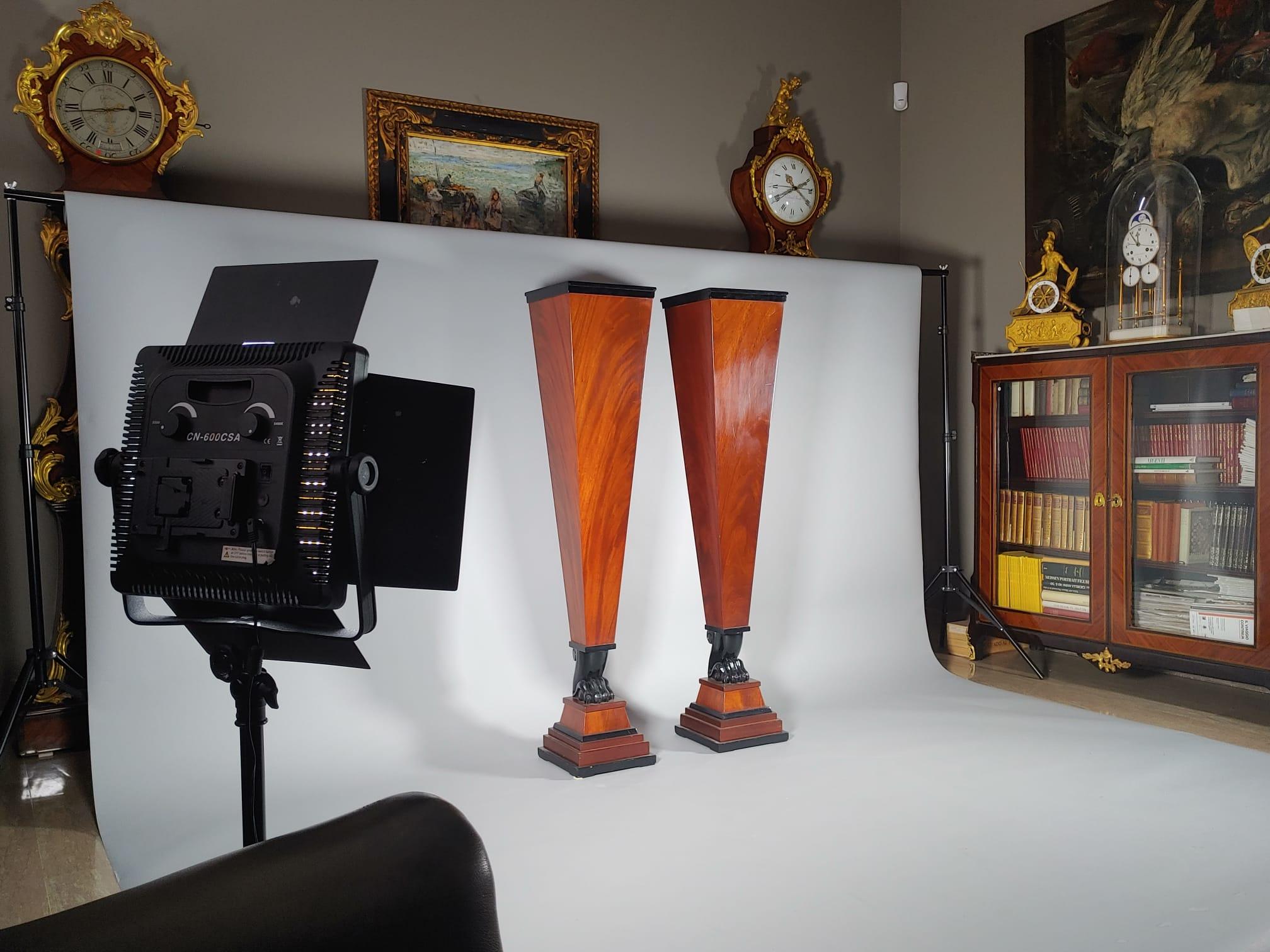 Pair of Austrian veneered columns with lion's paw Biedermeier circa1840s In Good Condition For Sale In Milano, IT