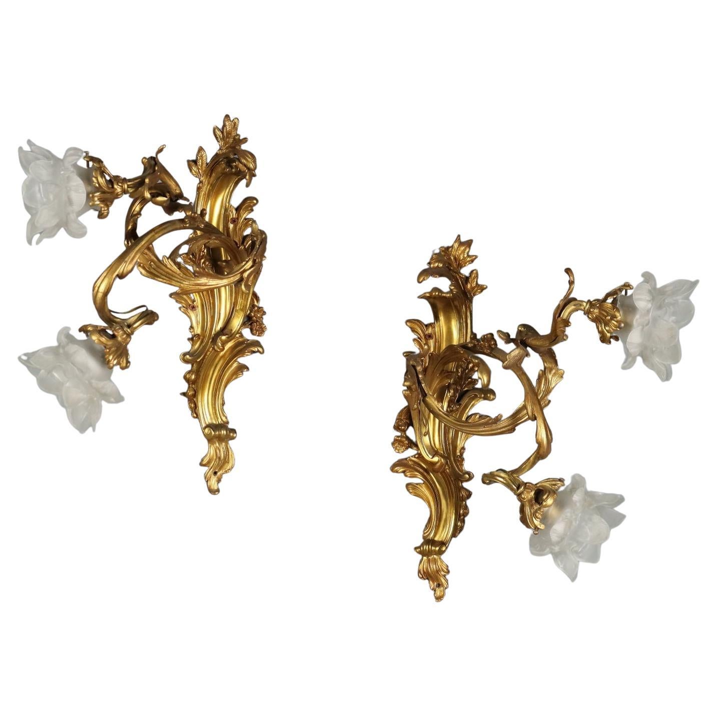 Coppia di Appliques in Bronzo dorato Italia Fine XIX Secolo