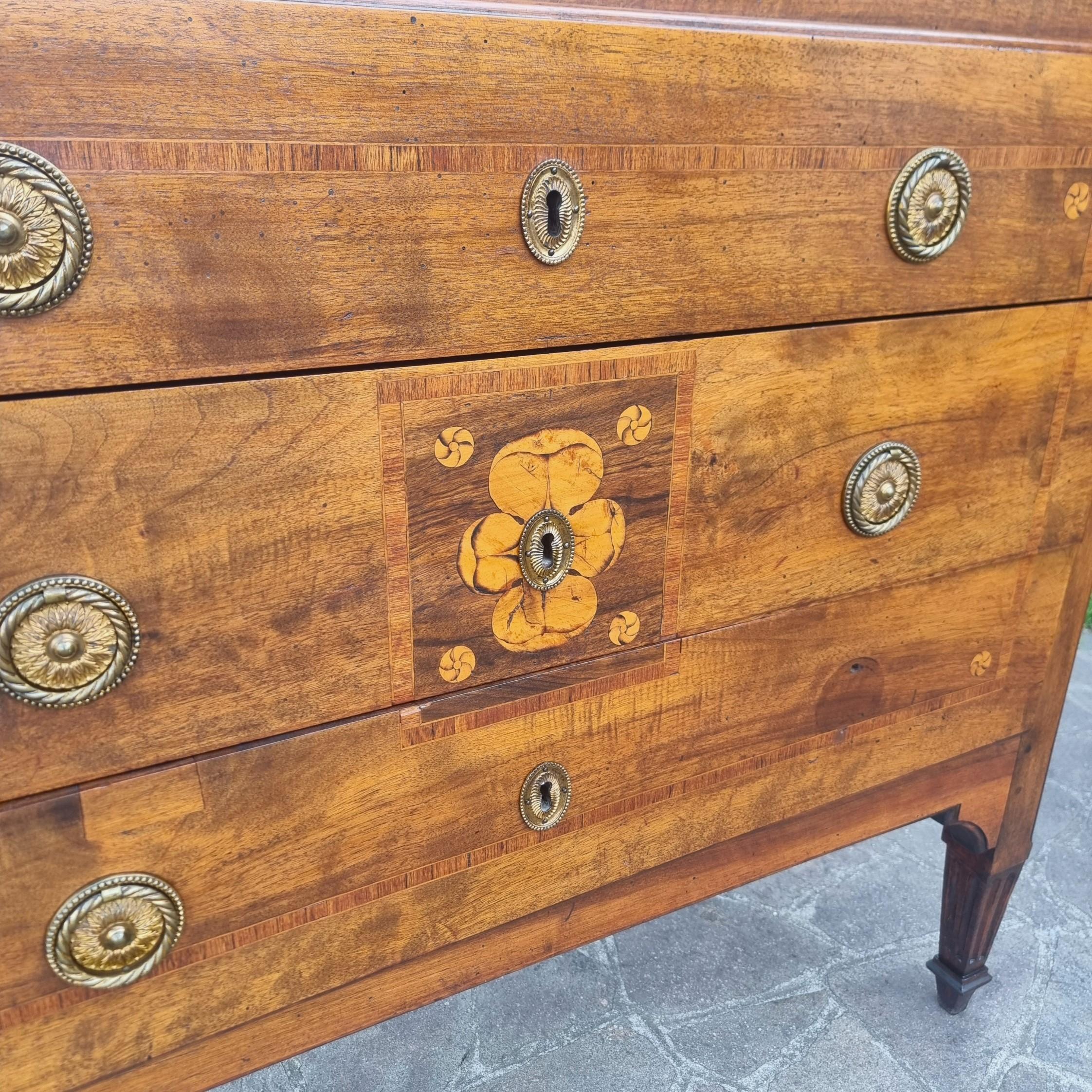 Paire de commodes Louis XVI du XVIIIe siècle en placage et marqueterie de noyer  Une élégante en vente 4