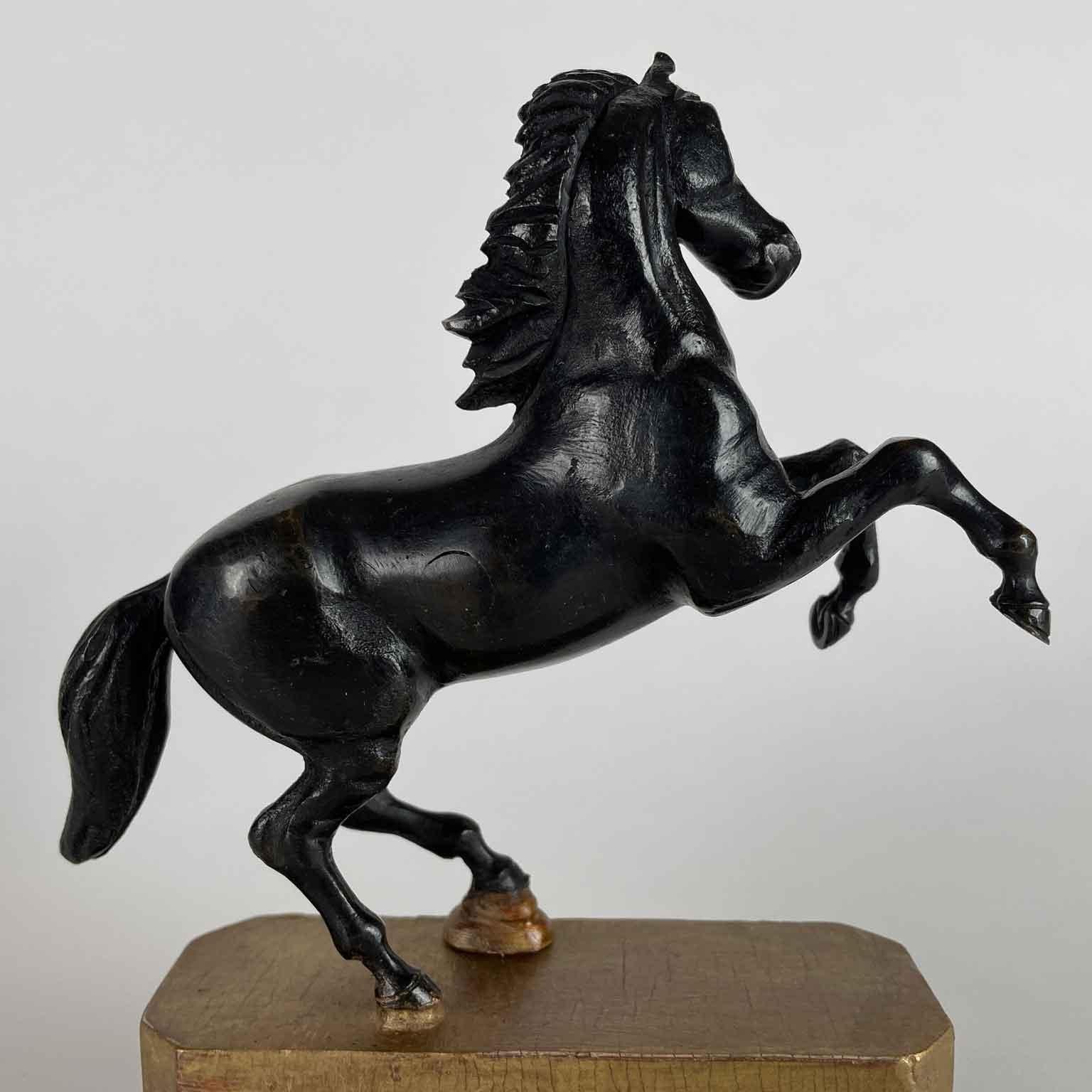 Coppia di Cavalli Inizi 1800 Sculture Italiane Animalier in Bronzo Patina Scura en venta 2