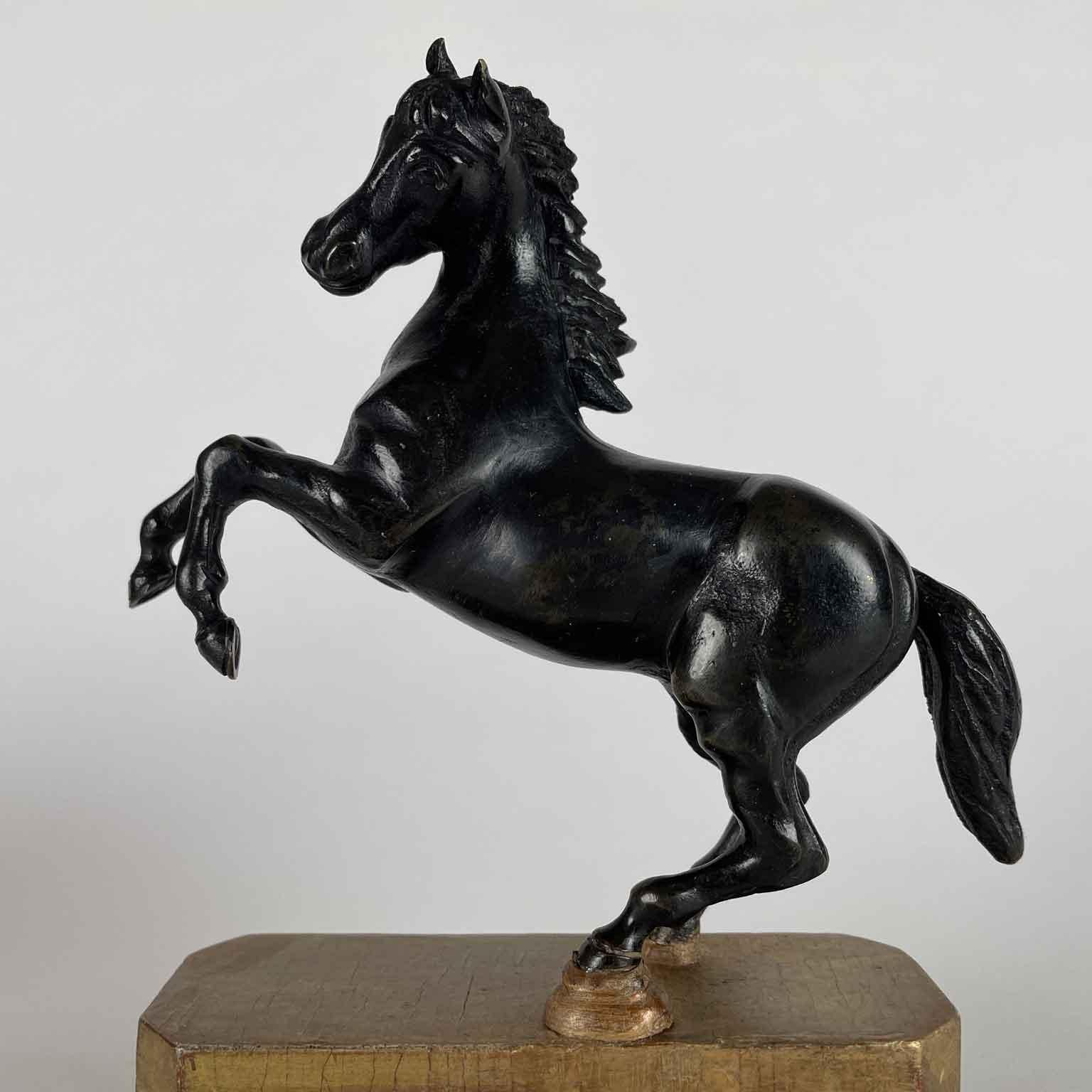 Coppia di Cavalli Inizi 1800 Sculture Italiane Animalier in Bronzo Patina Scura en venta 5