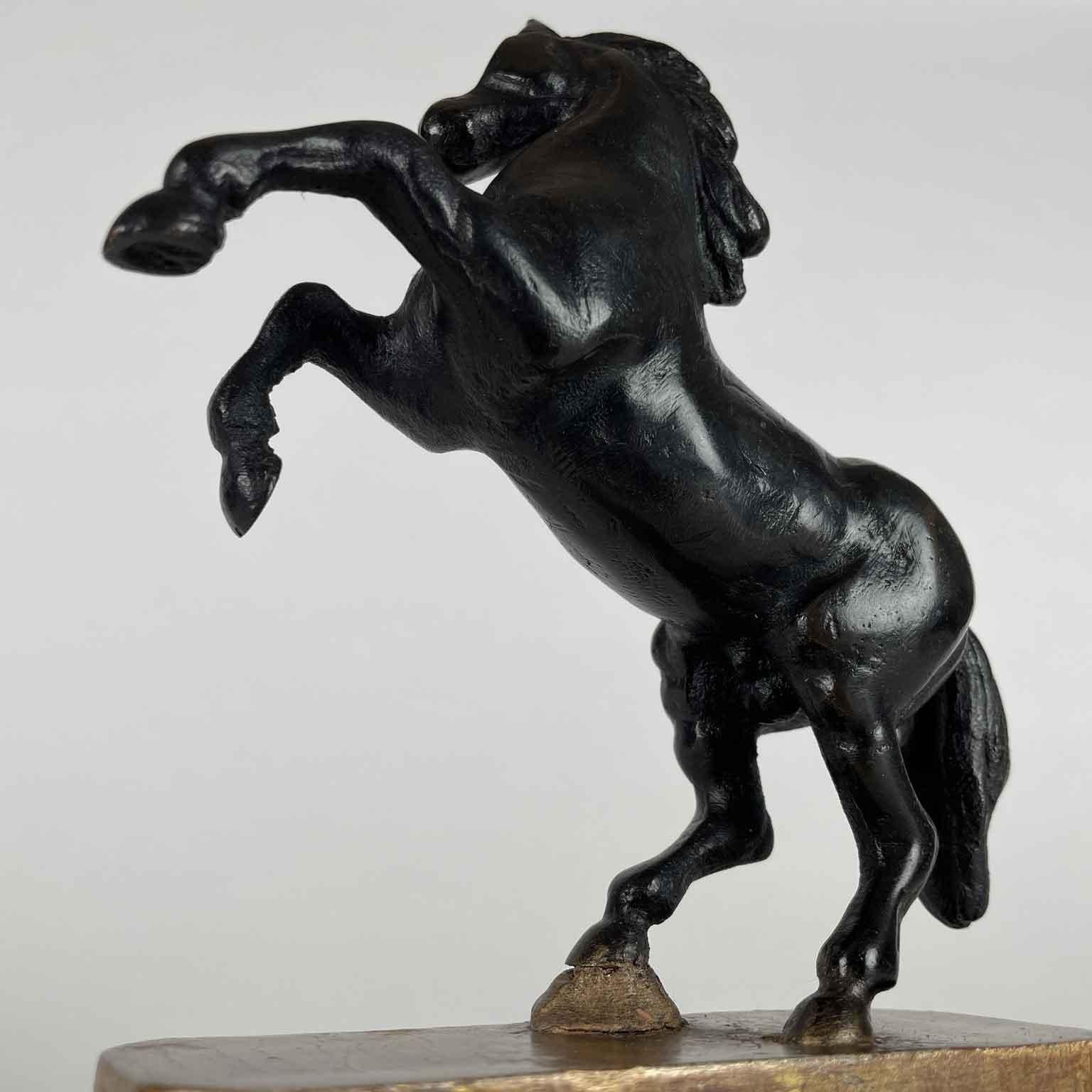 Coppia di Cavalli Inizi 1800 Sculture Italiane Animalier in Bronzo Patina Scura en venta 8