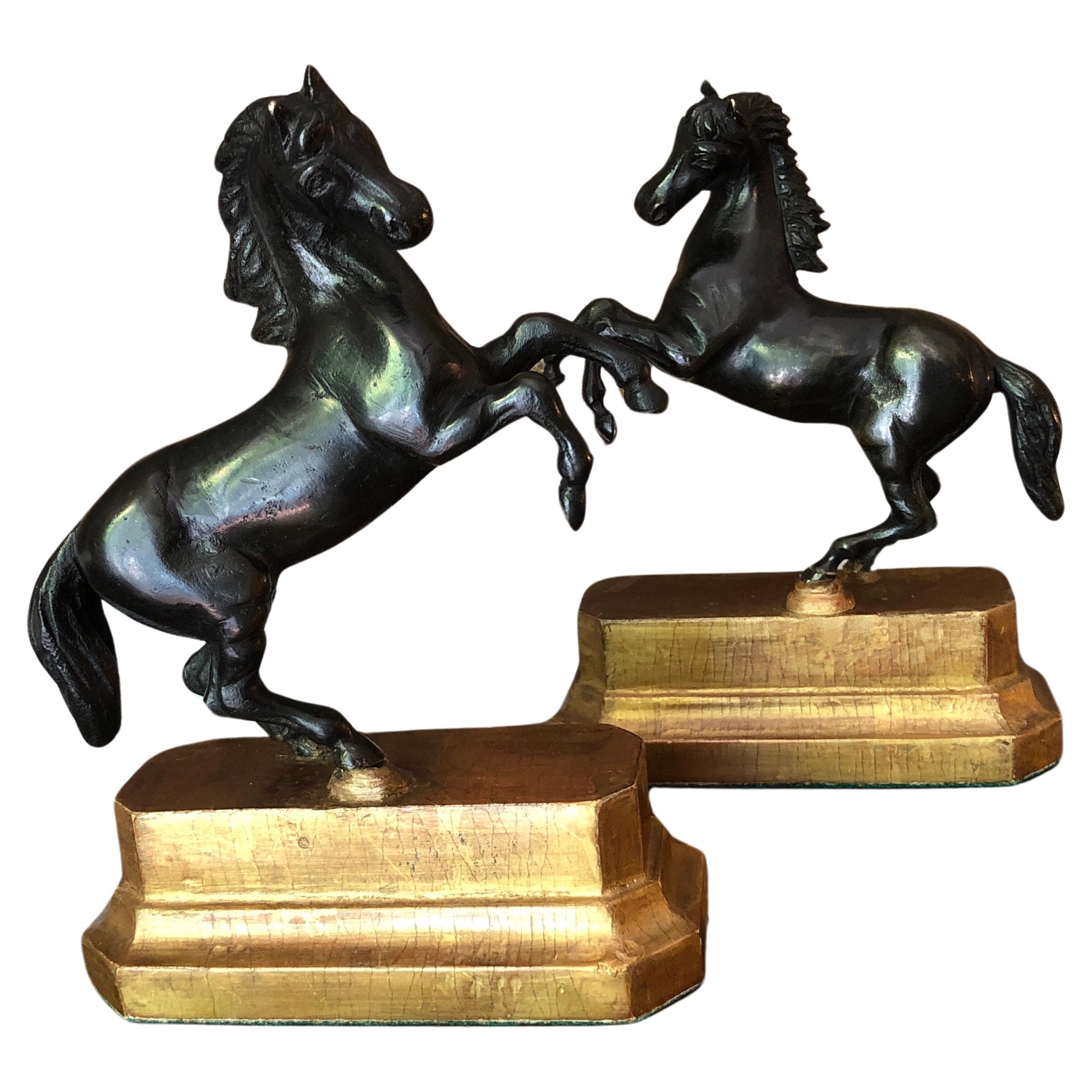 Coppia di Cavalli Inizi 1800 Sculture Italiane Animalier in Bronzo Patina Scura siglo XIX en venta