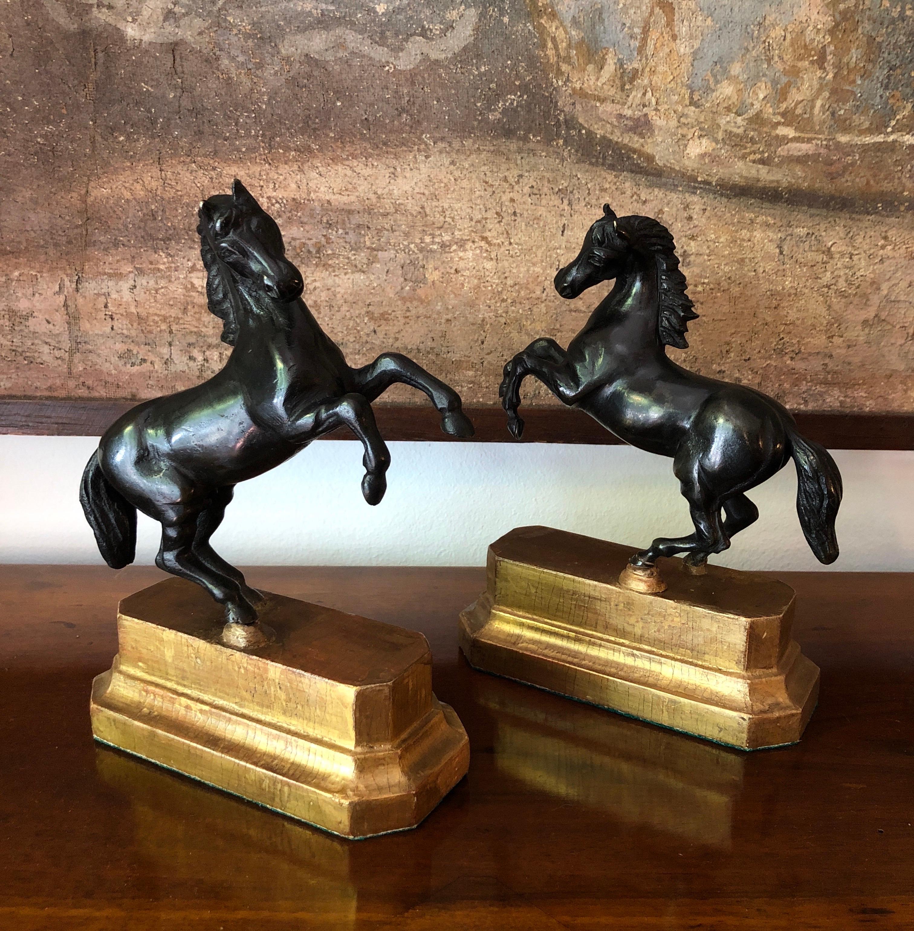 Coppia di Cavalli Inizi 1800 Sculture Italiane Animalier in Bronzo Patina Scura Bronce en venta